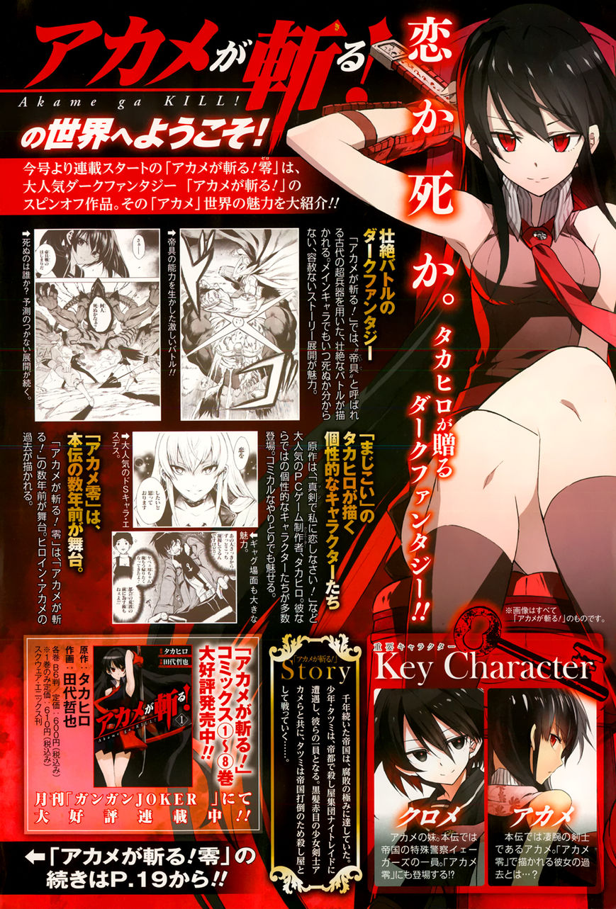 Akame ga KILL! Zero Dos Chicas 第4页
