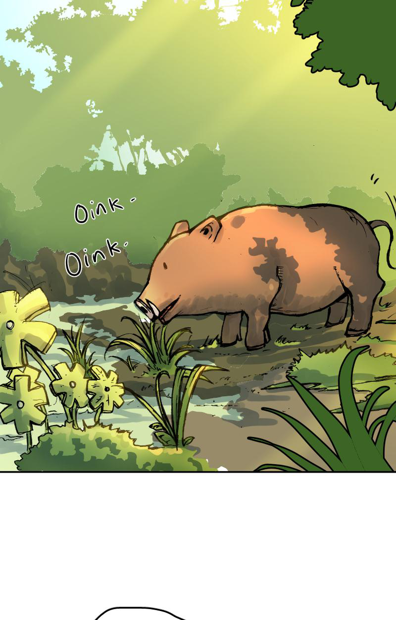 GUL BOAR 第5页