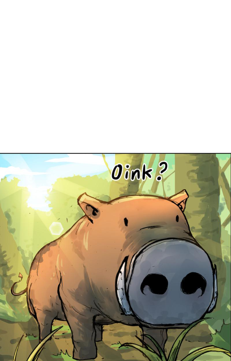 GUL BOAR 第8页