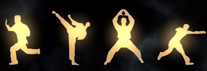 Martial Arts Reigns The Heaven’s Strike Steps 第27页