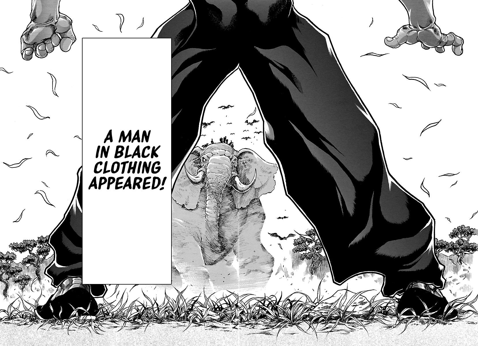 Baki Hanma - Son of Ogre (Shinsoban Release) Bloodline of Fighting Gods 第19页