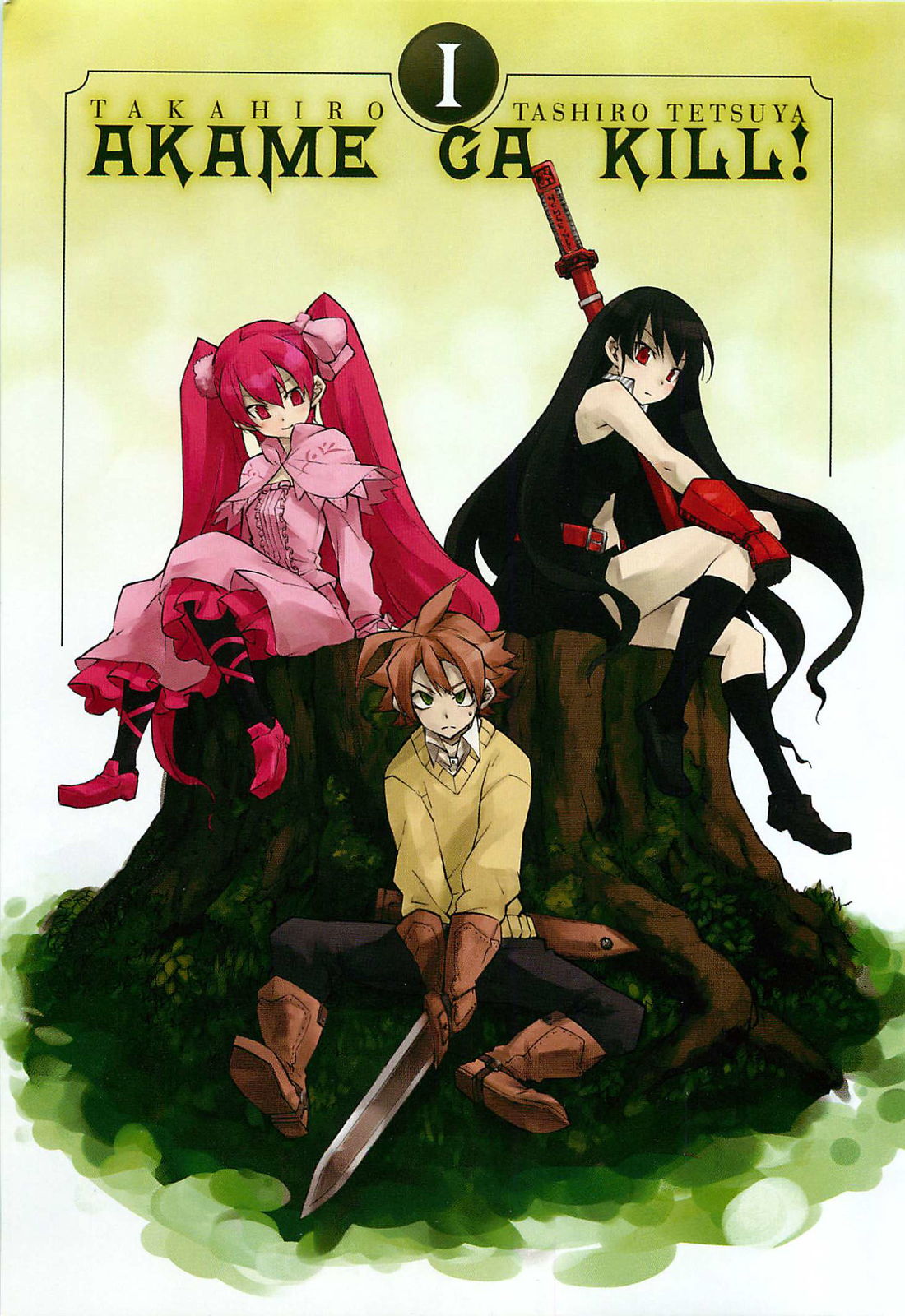 Akame ga KILL! Matar A La Oscuridad 第5页