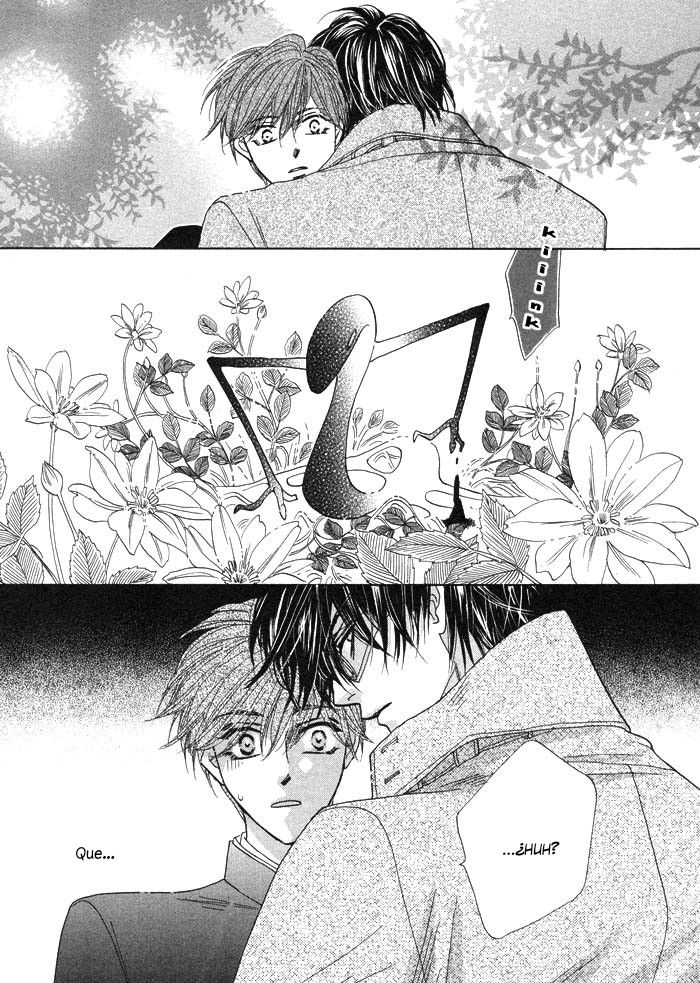 Silver Diamond Semilla plateada 第36页