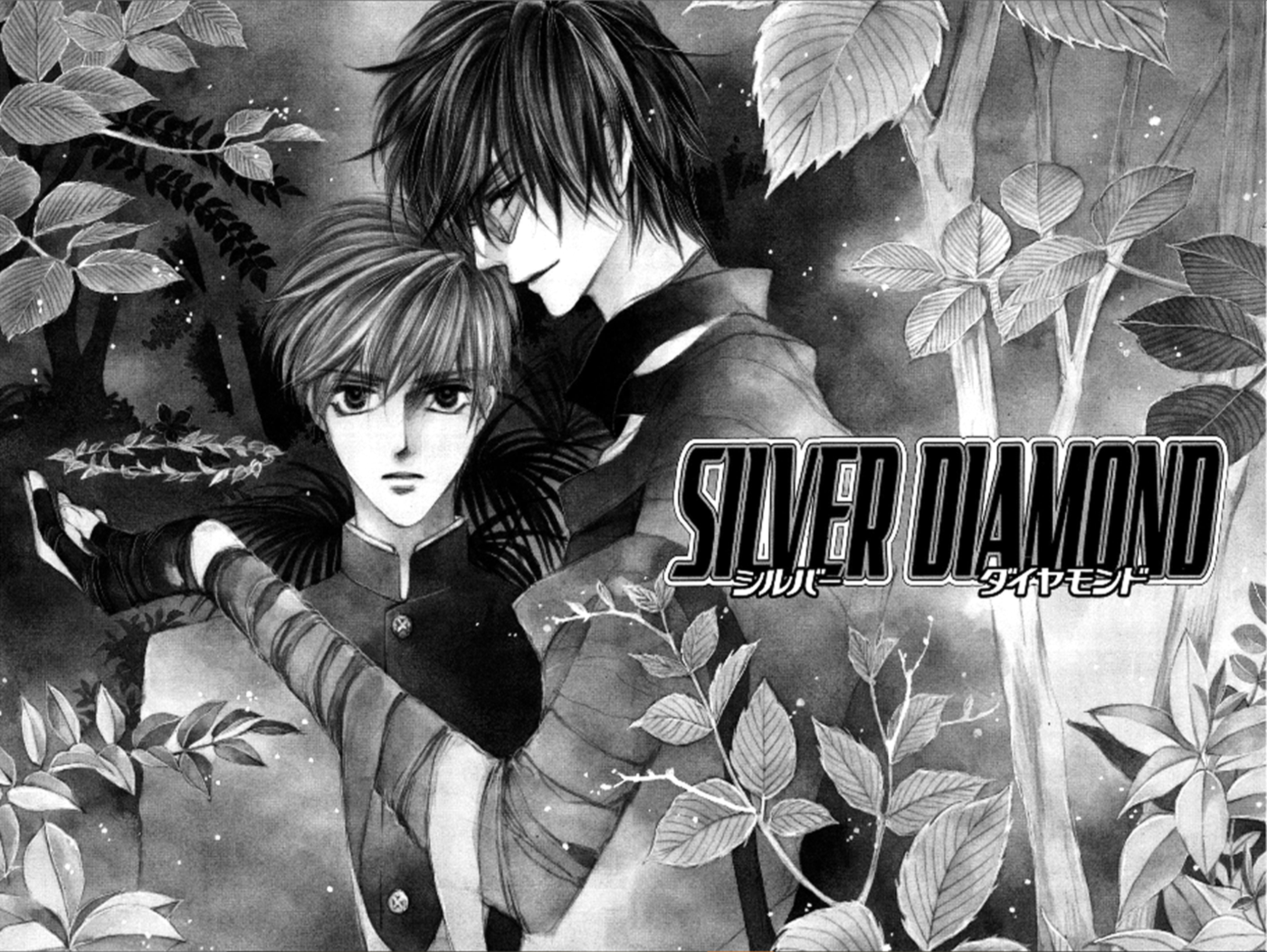 Silver Diamond Semilla plateada 第5页