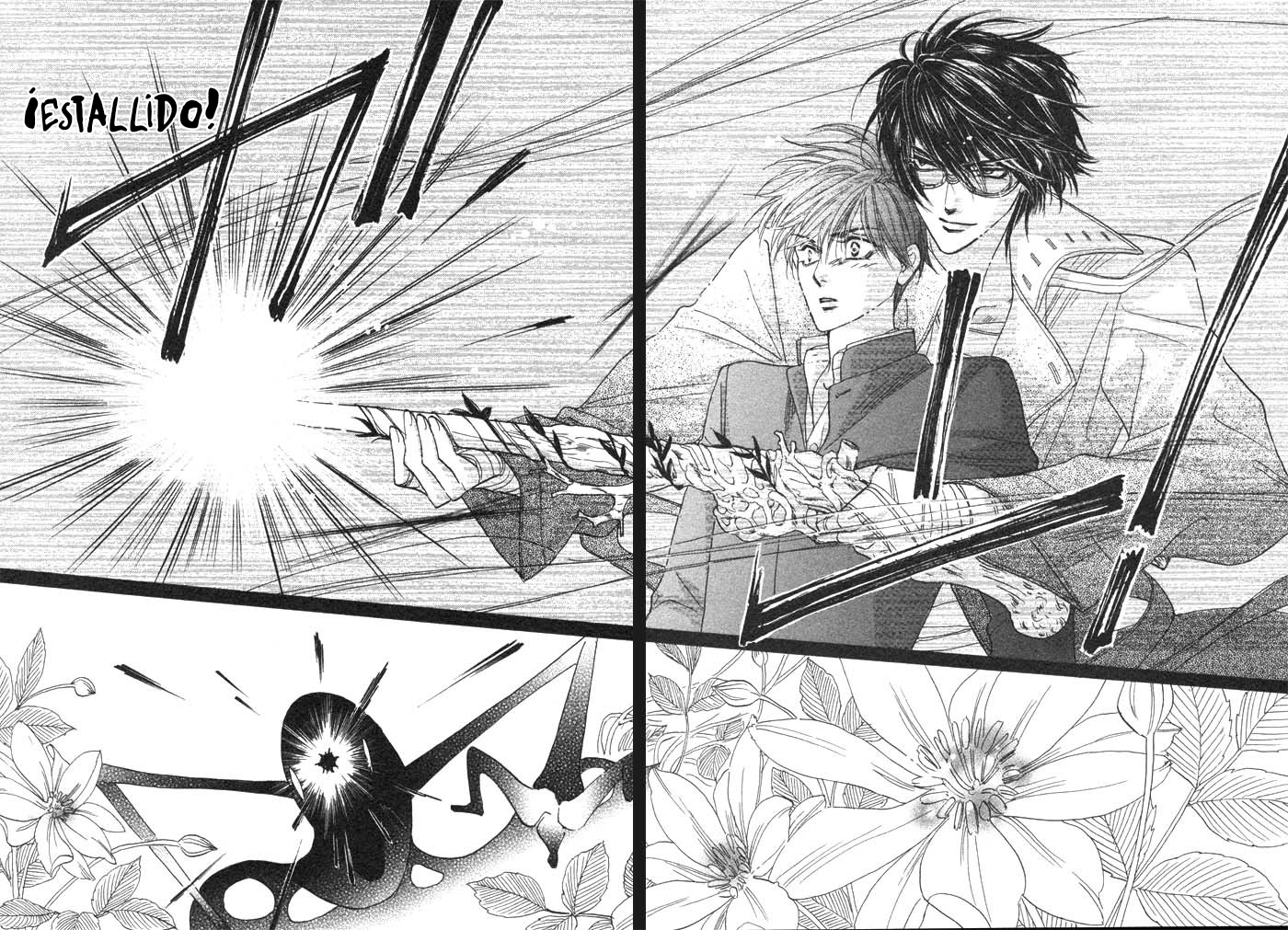 Silver Diamond Semilla plateada 第41页