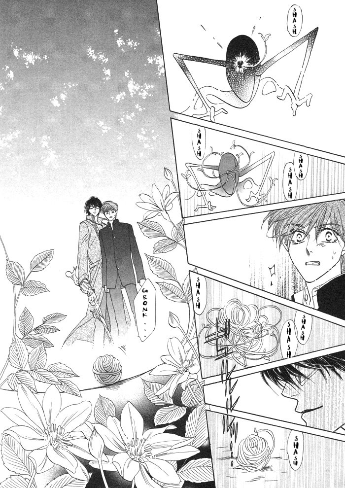 Silver Diamond Semilla plateada 第42页