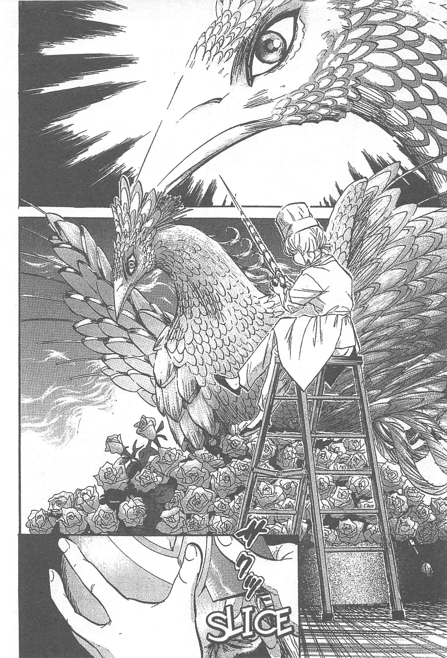 Iron Wok Jan! Vol. 1 Ch. 1 第14页