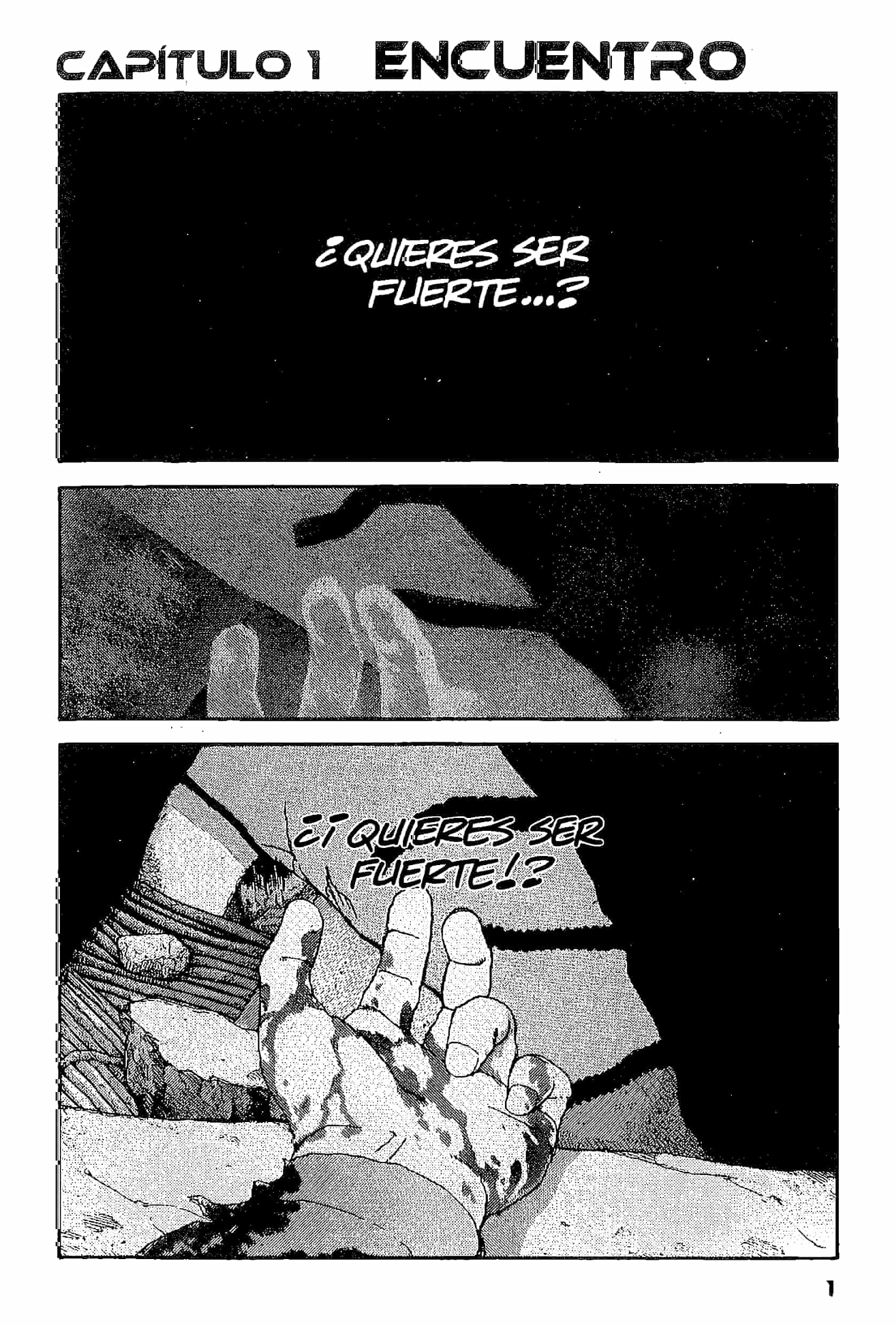 ARMS Encuentro. 第3页