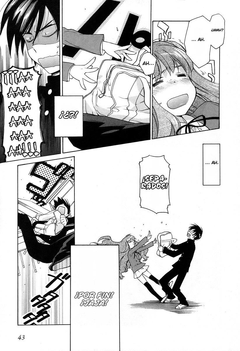 Toradora! ¡Tigre miniatura! 第45页