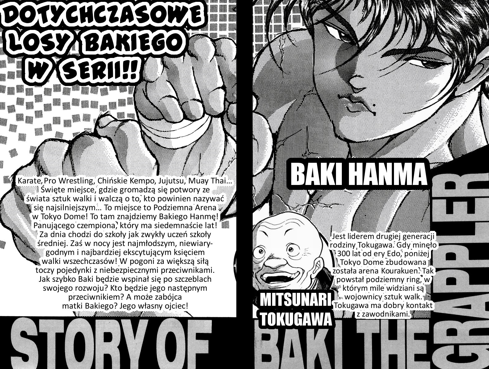 New Grappler Baki Synchroniczność 第5页