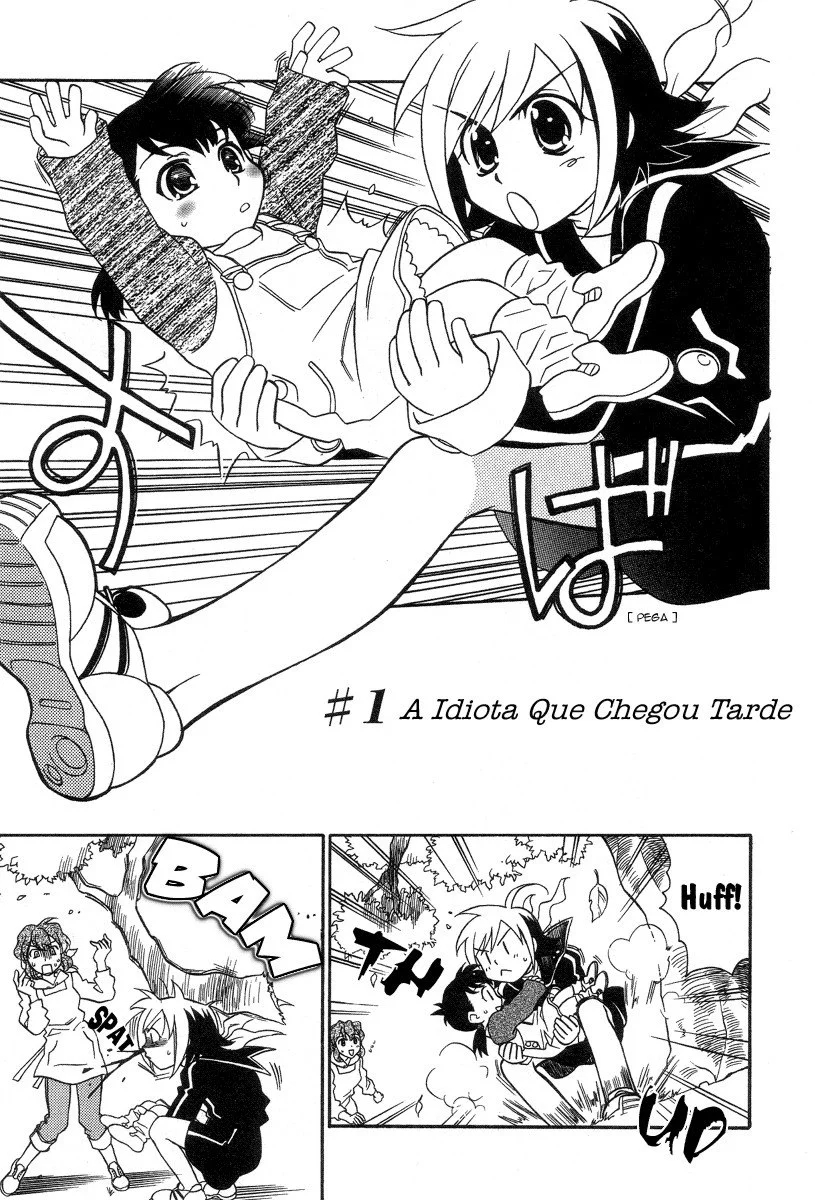 Hayate x Blade A idiota que chegou tarde 第9页