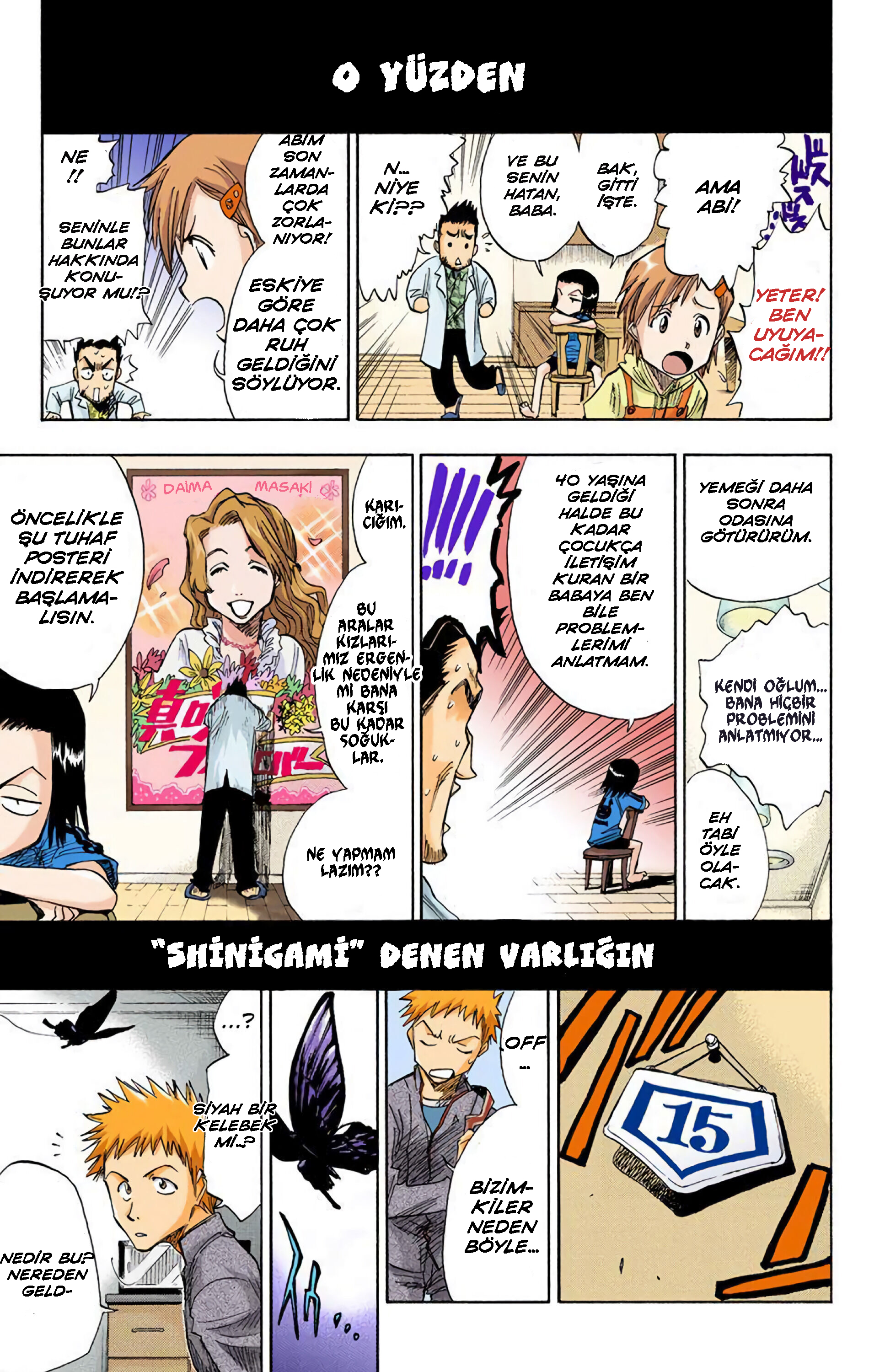 Bleach (Official Colored) Ölüm ve Çilek 第12页