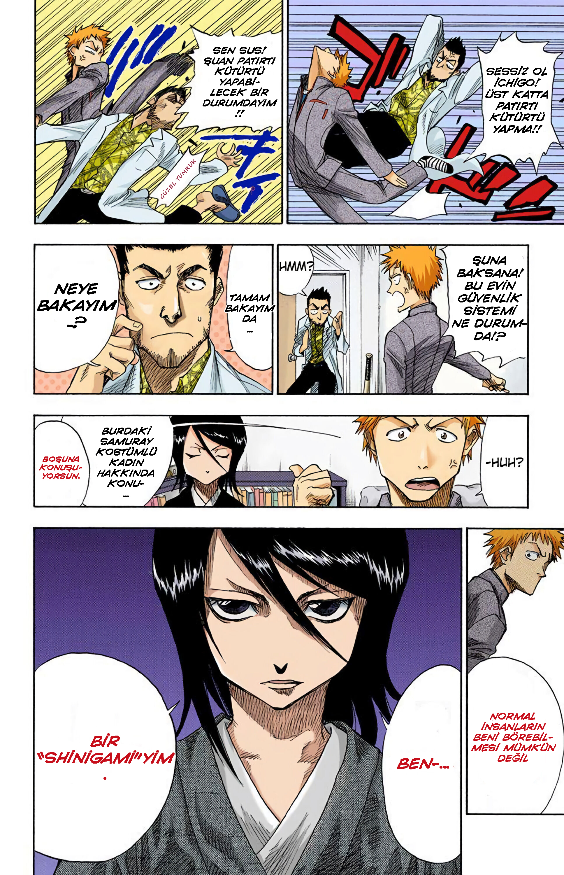 Bleach (Official Colored) Ölüm ve Çilek 第15页