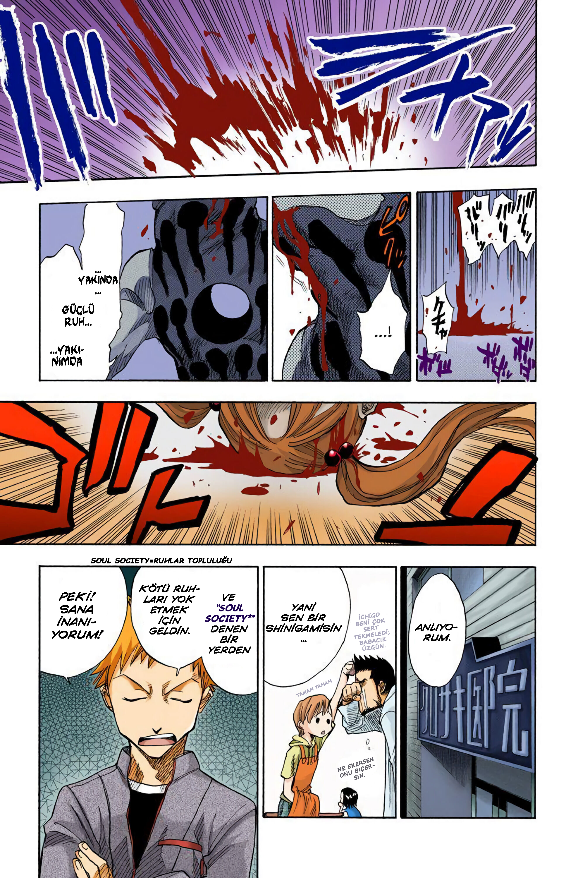 Bleach (Official Colored) Ölüm ve Çilek 第16页