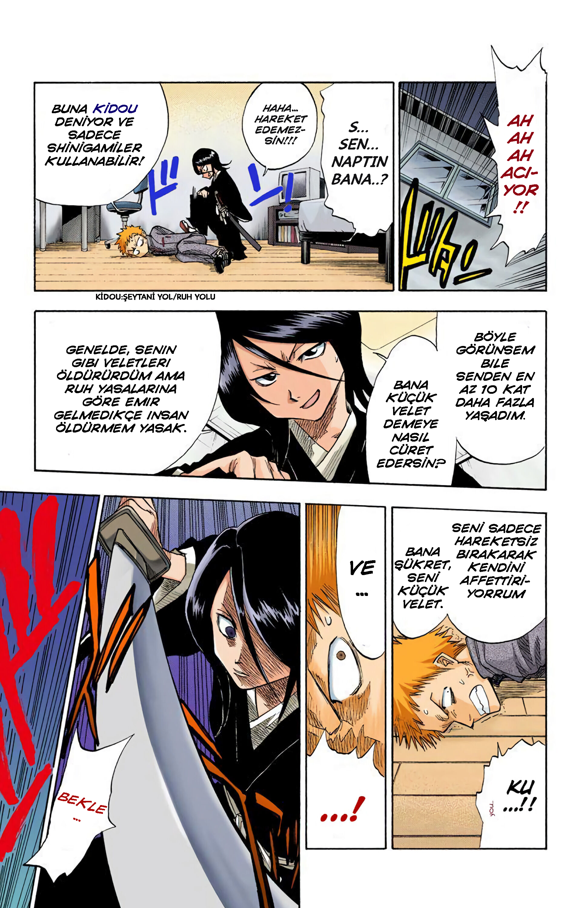 Bleach (Official Colored) Ölüm ve Çilek 第18页