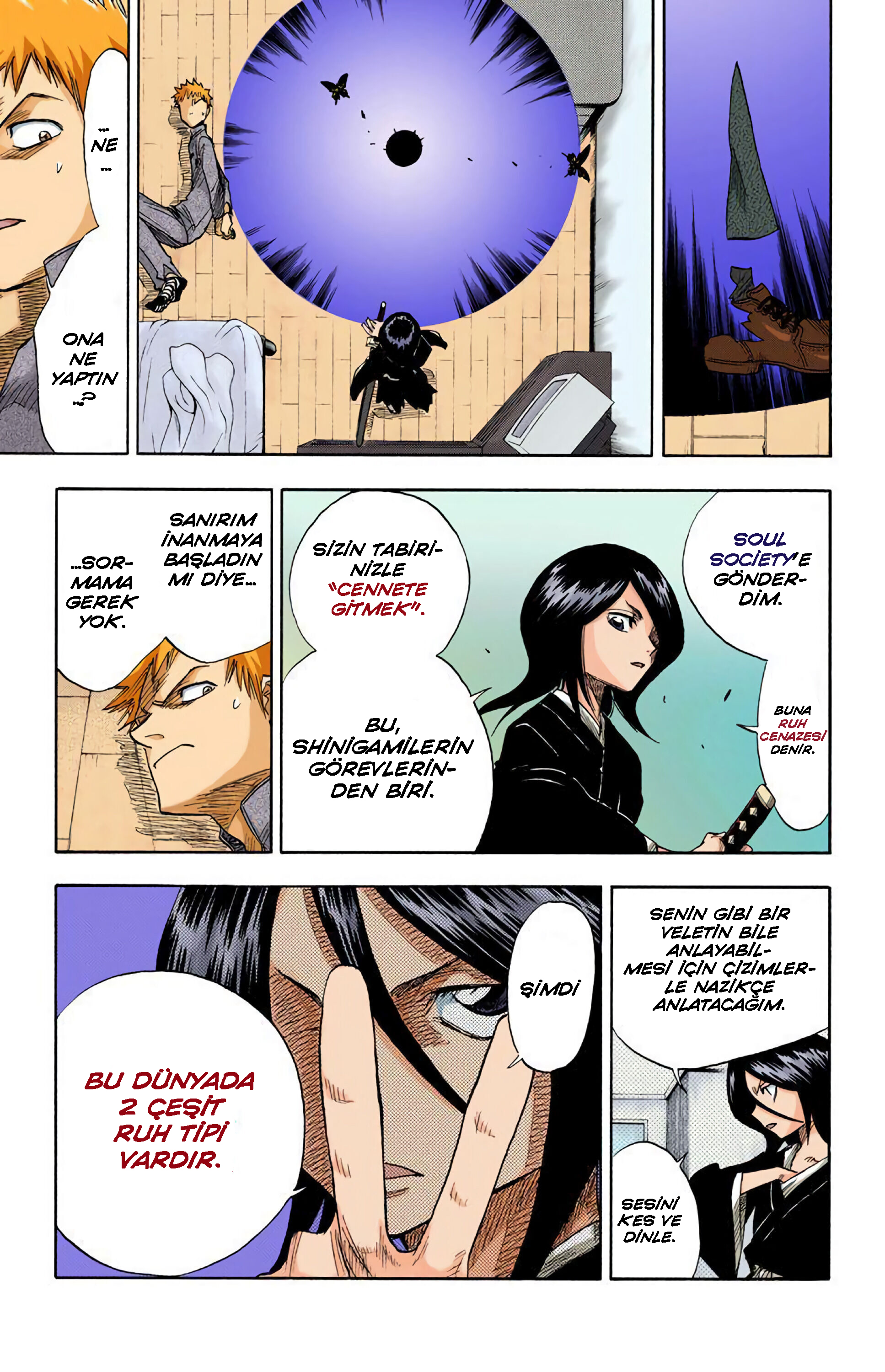 Bleach (Official Colored) Ölüm ve Çilek 第20页