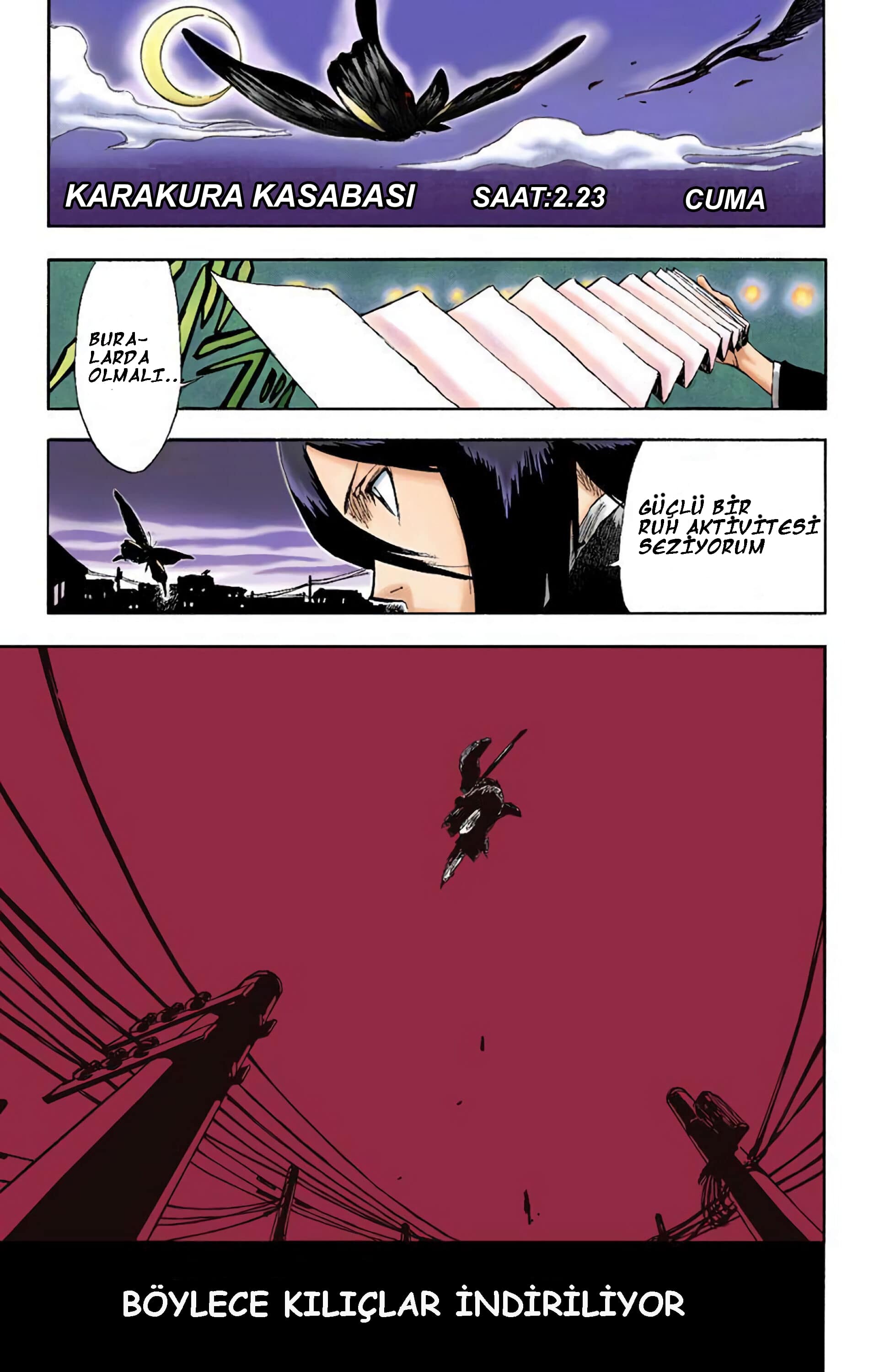 Bleach (Official Colored) Ölüm ve Çilek 第3页