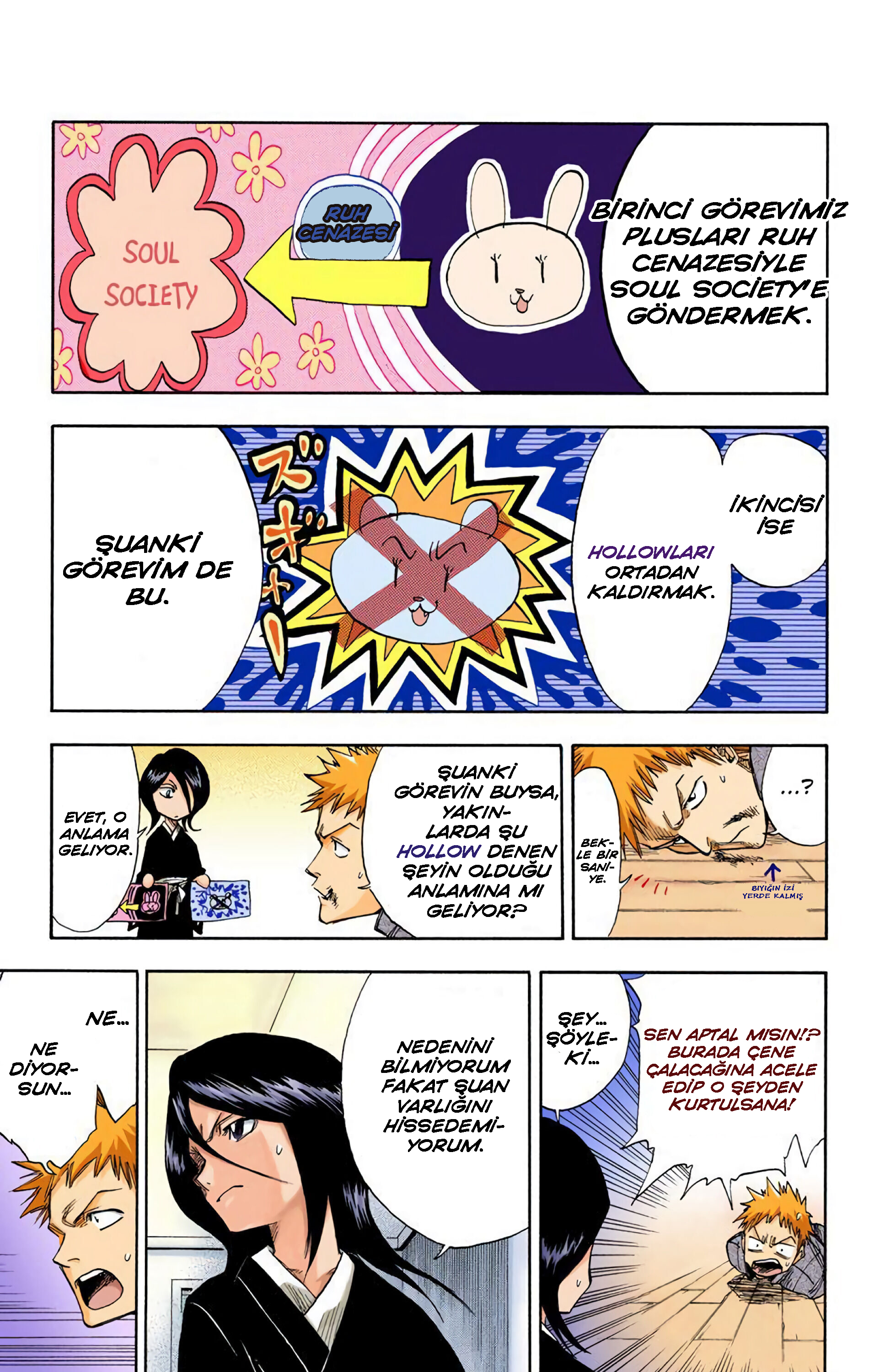 Bleach (Official Colored) Ölüm ve Çilek 第22页