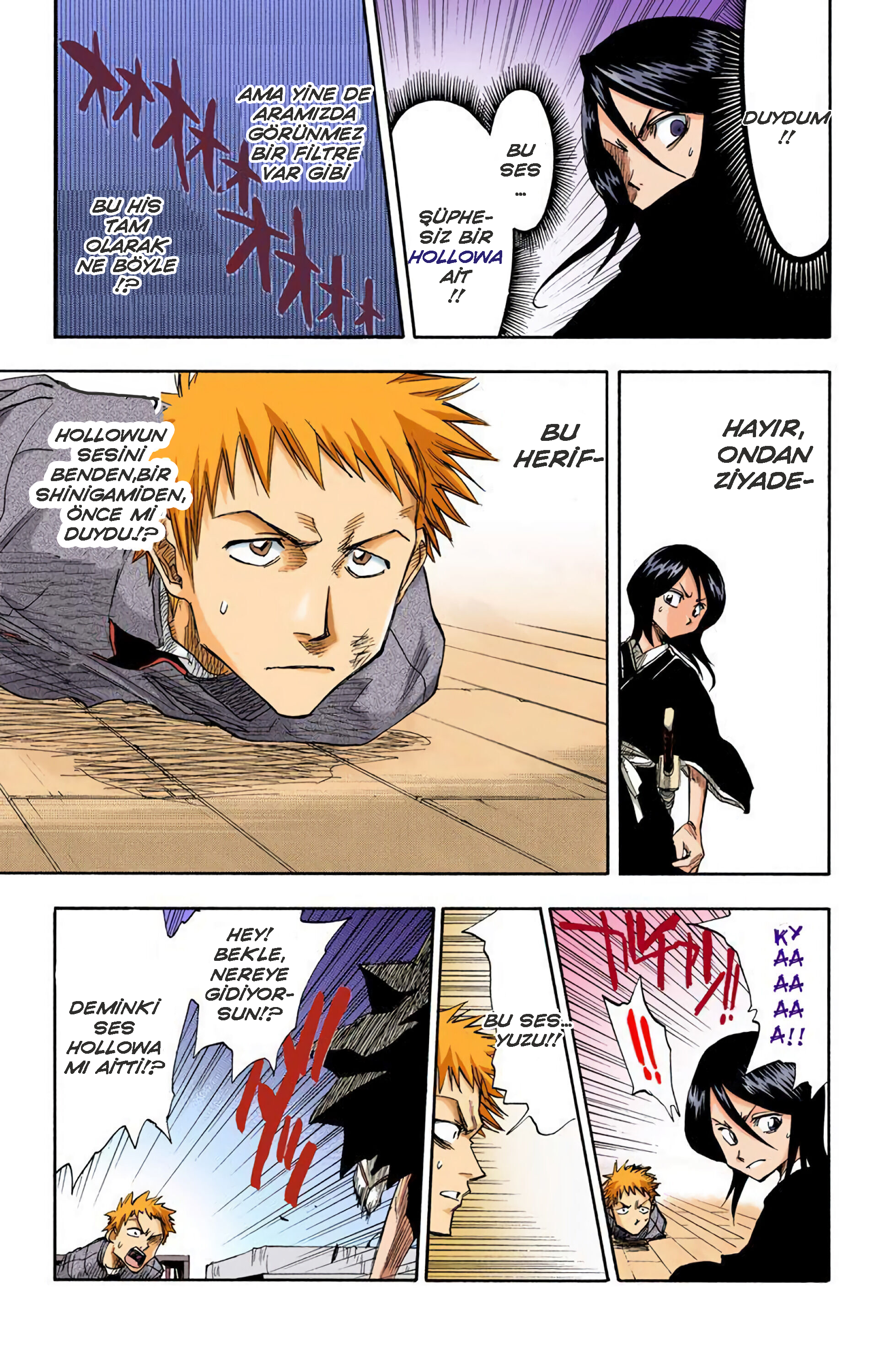 Bleach (Official Colored) Ölüm ve Çilek 第24页