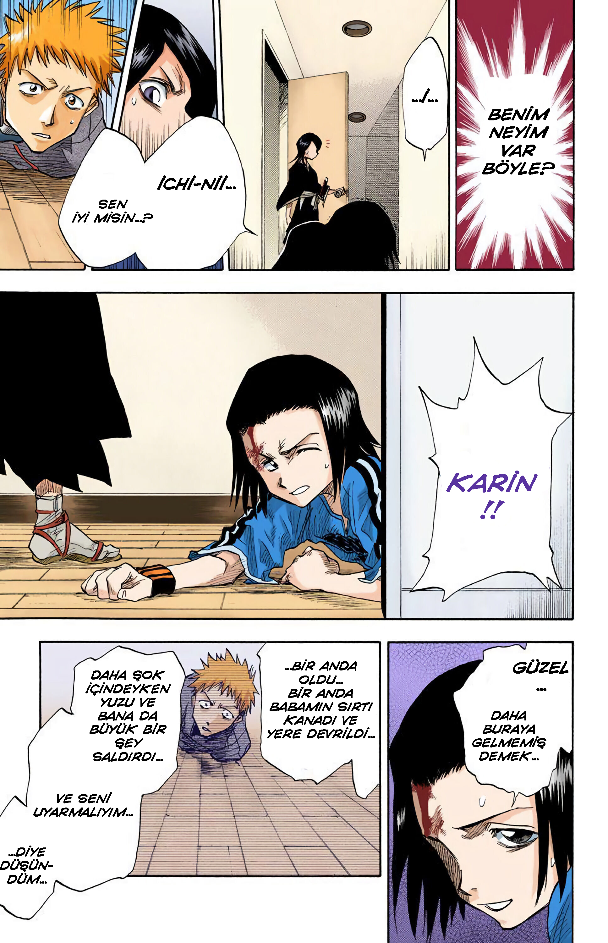 Bleach (Official Colored) Ölüm ve Çilek 第26页