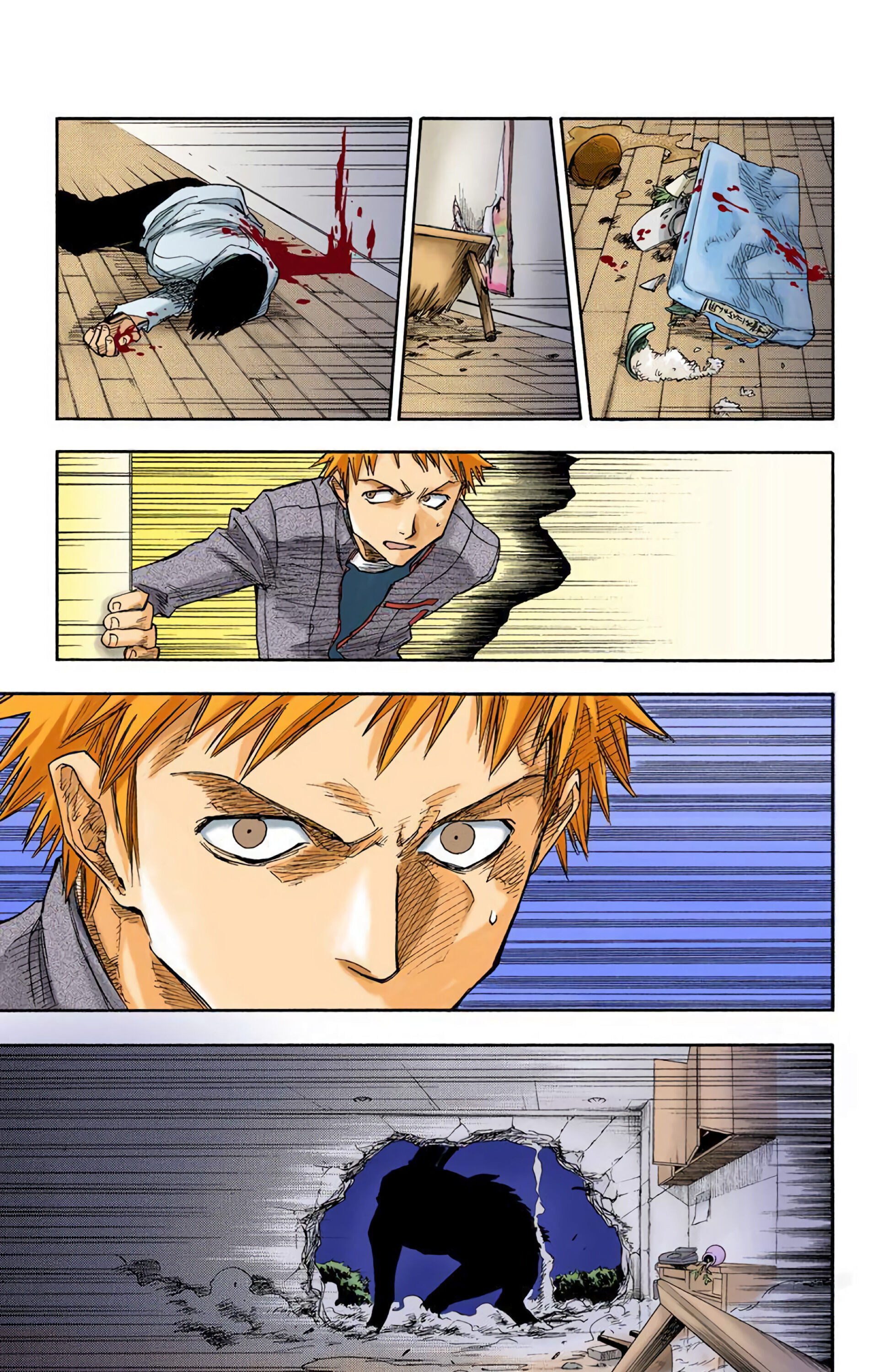 Bleach (Official Colored) Ölüm ve Çilek 第30页