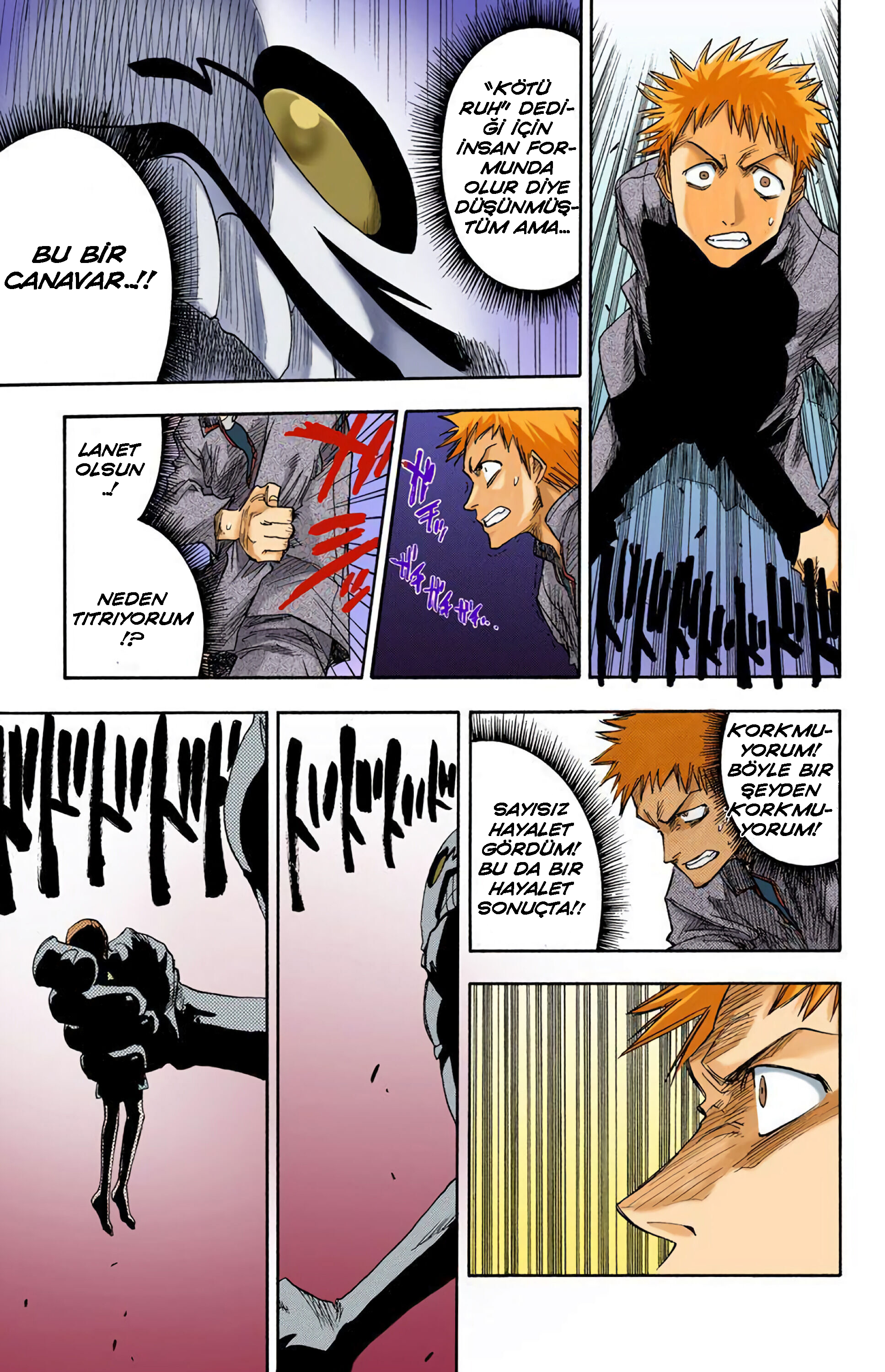 Bleach (Official Colored) Ölüm ve Çilek 第32页