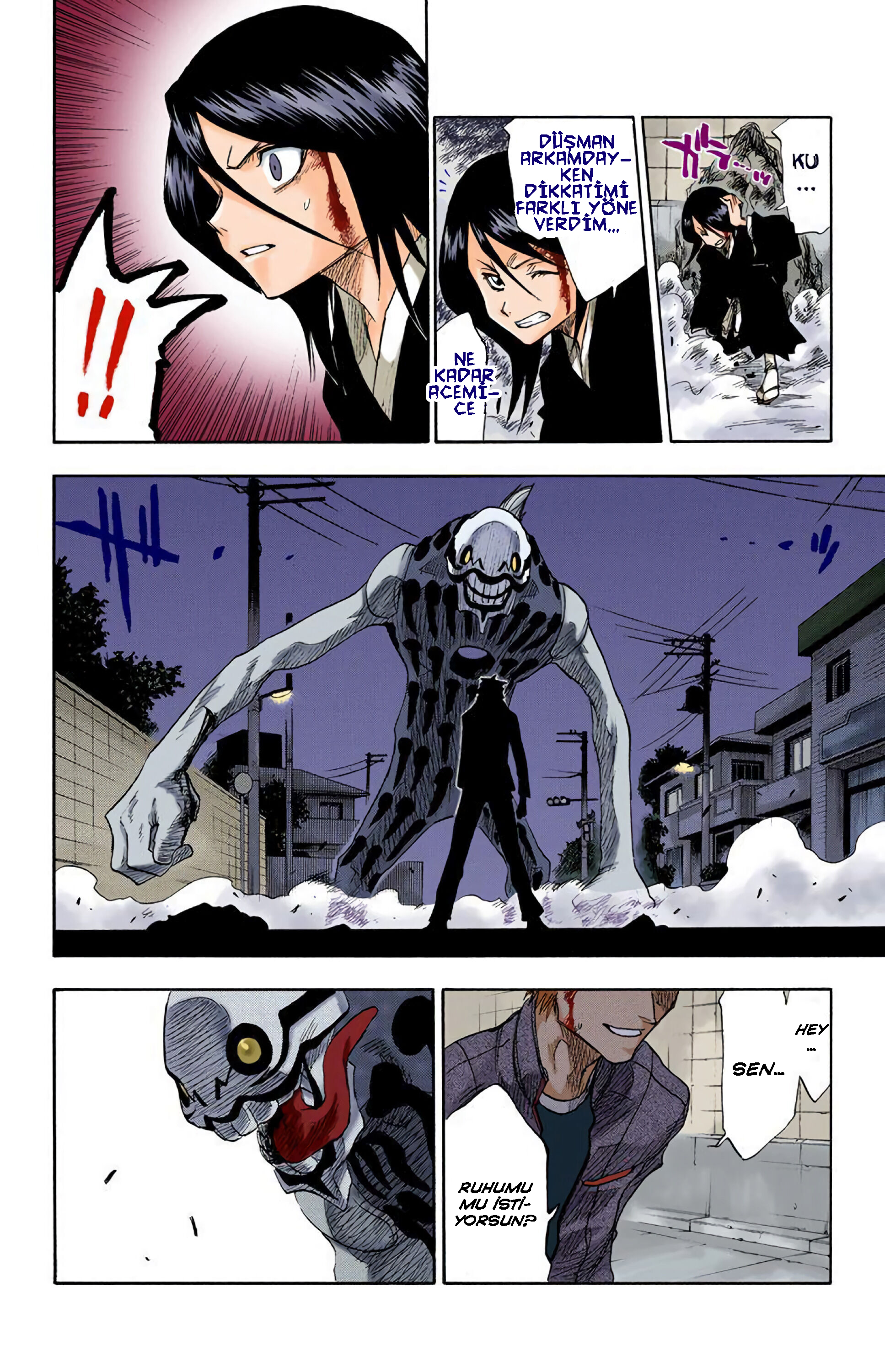 Bleach (Official Colored) Ölüm ve Çilek 第39页