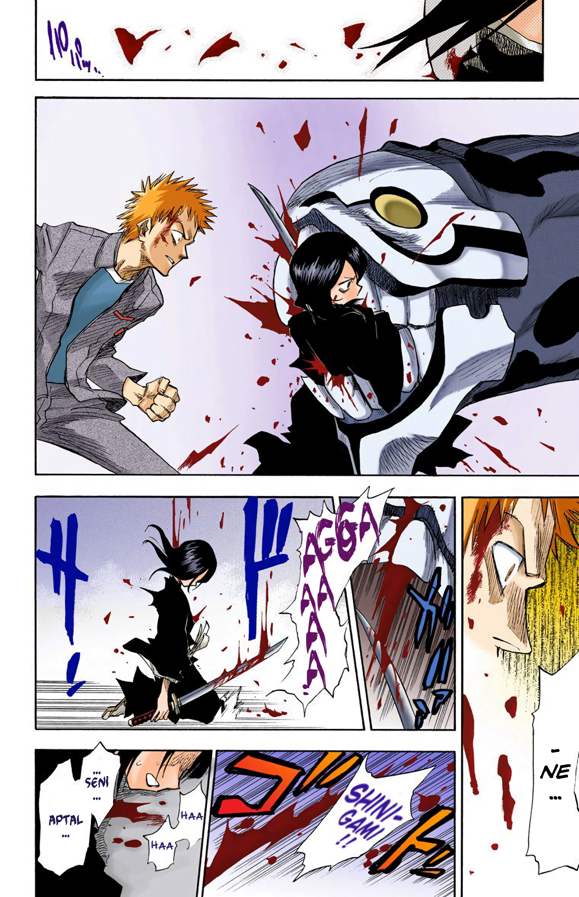 Bleach (Official Colored) Ölüm ve Çilek 第41页