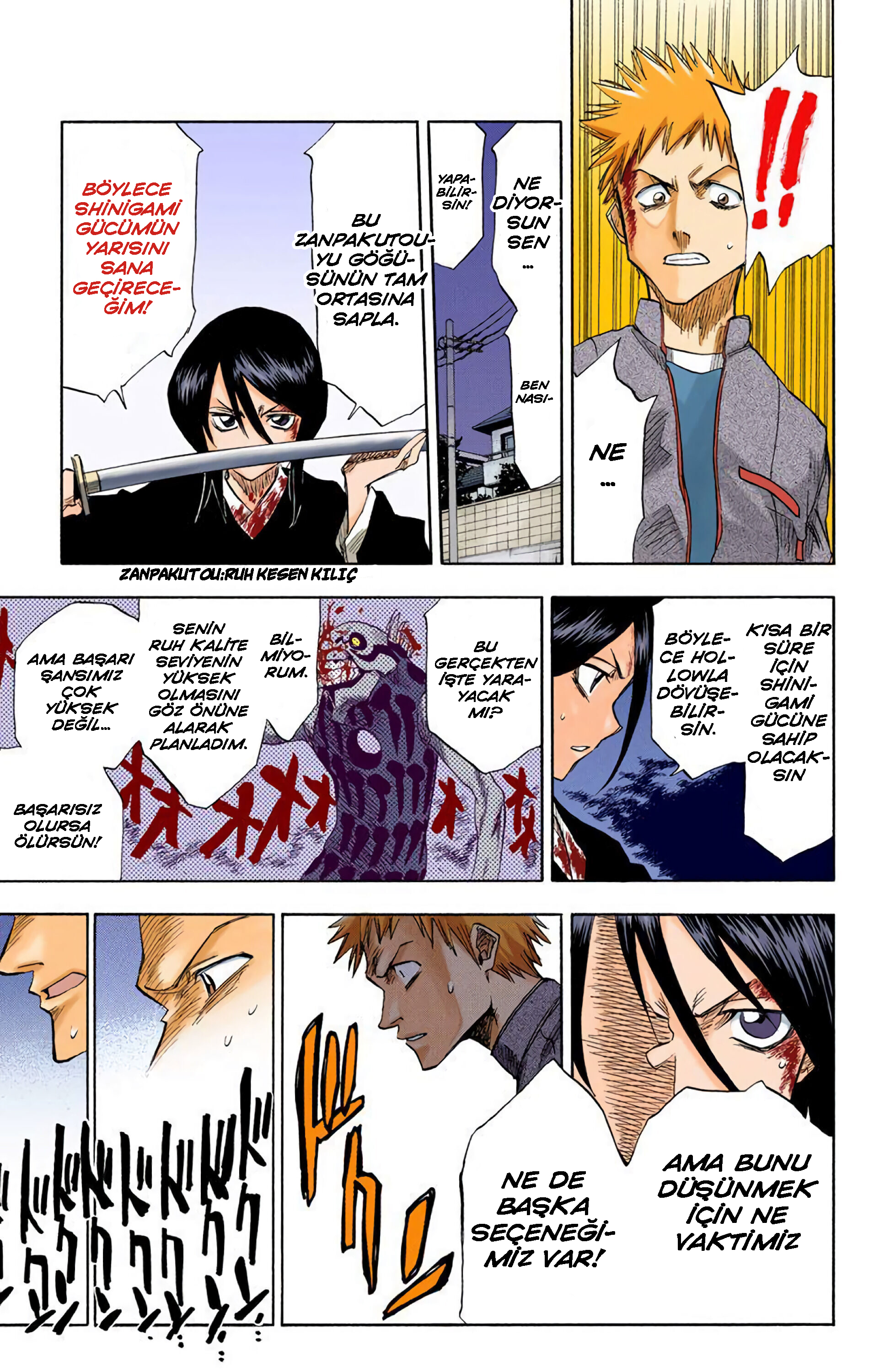 Bleach (Official Colored) Ölüm ve Çilek 第44页