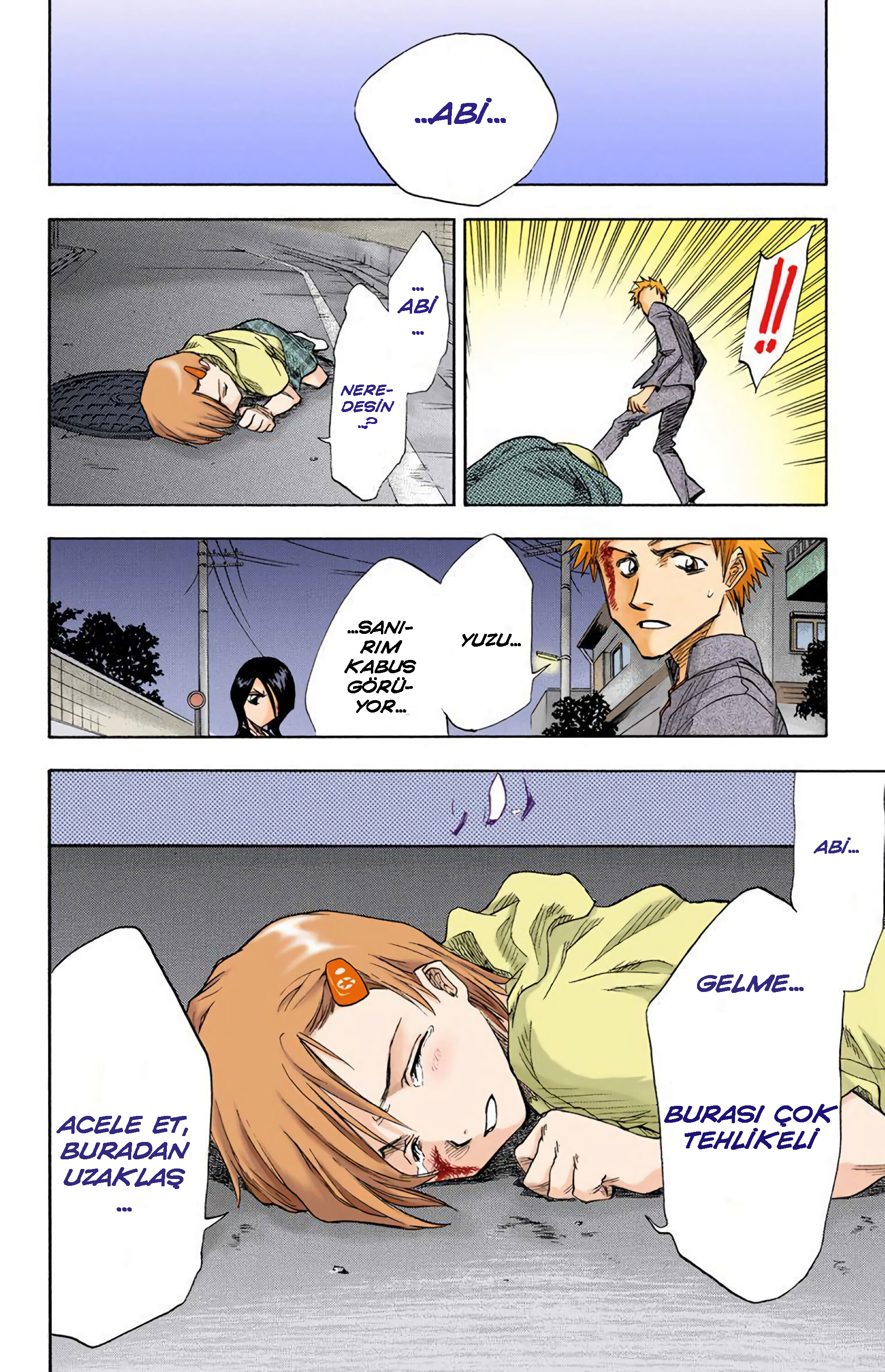 Bleach (Official Colored) Ölüm ve Çilek 第45页