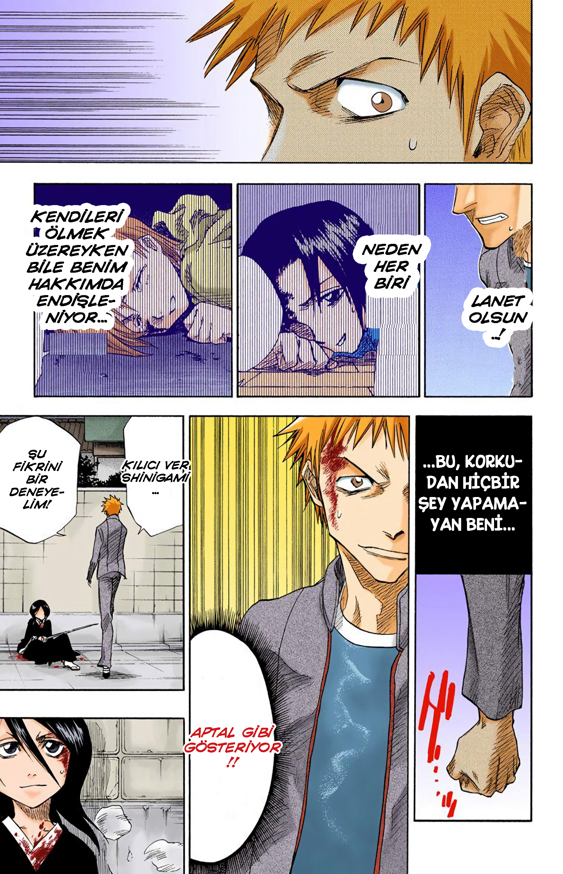 Bleach (Official Colored) Ölüm ve Çilek 第46页