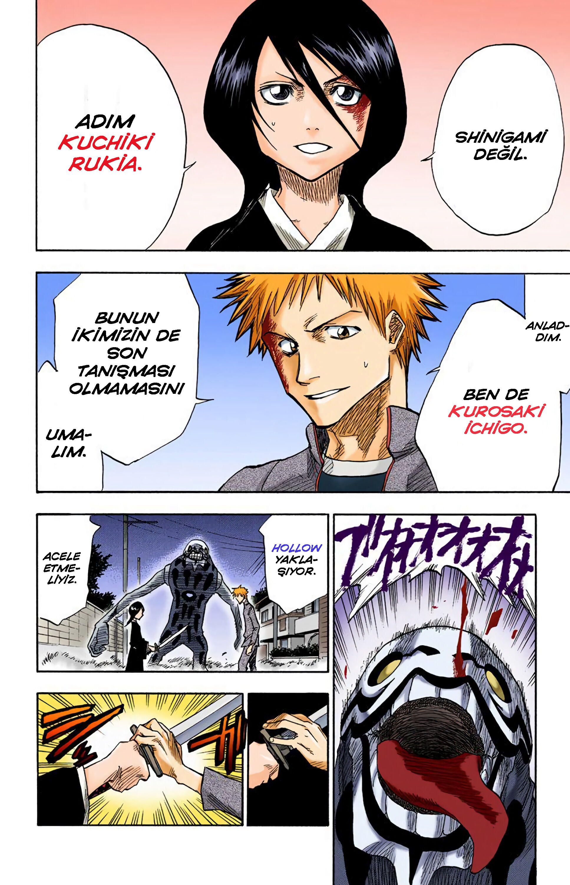 Bleach (Official Colored) Ölüm ve Çilek 第47页
