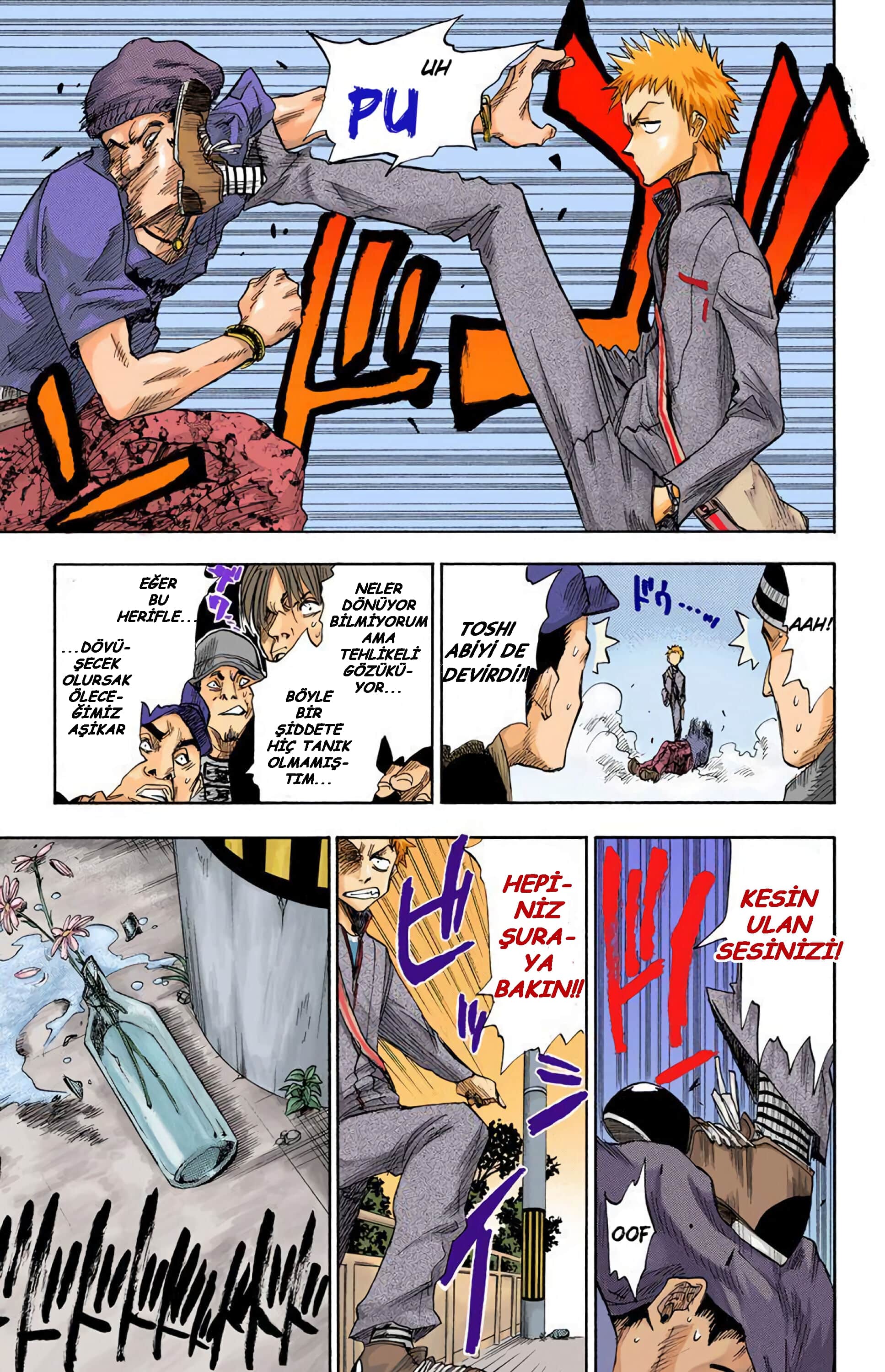 Bleach (Official Colored) Ölüm ve Çilek 第6页