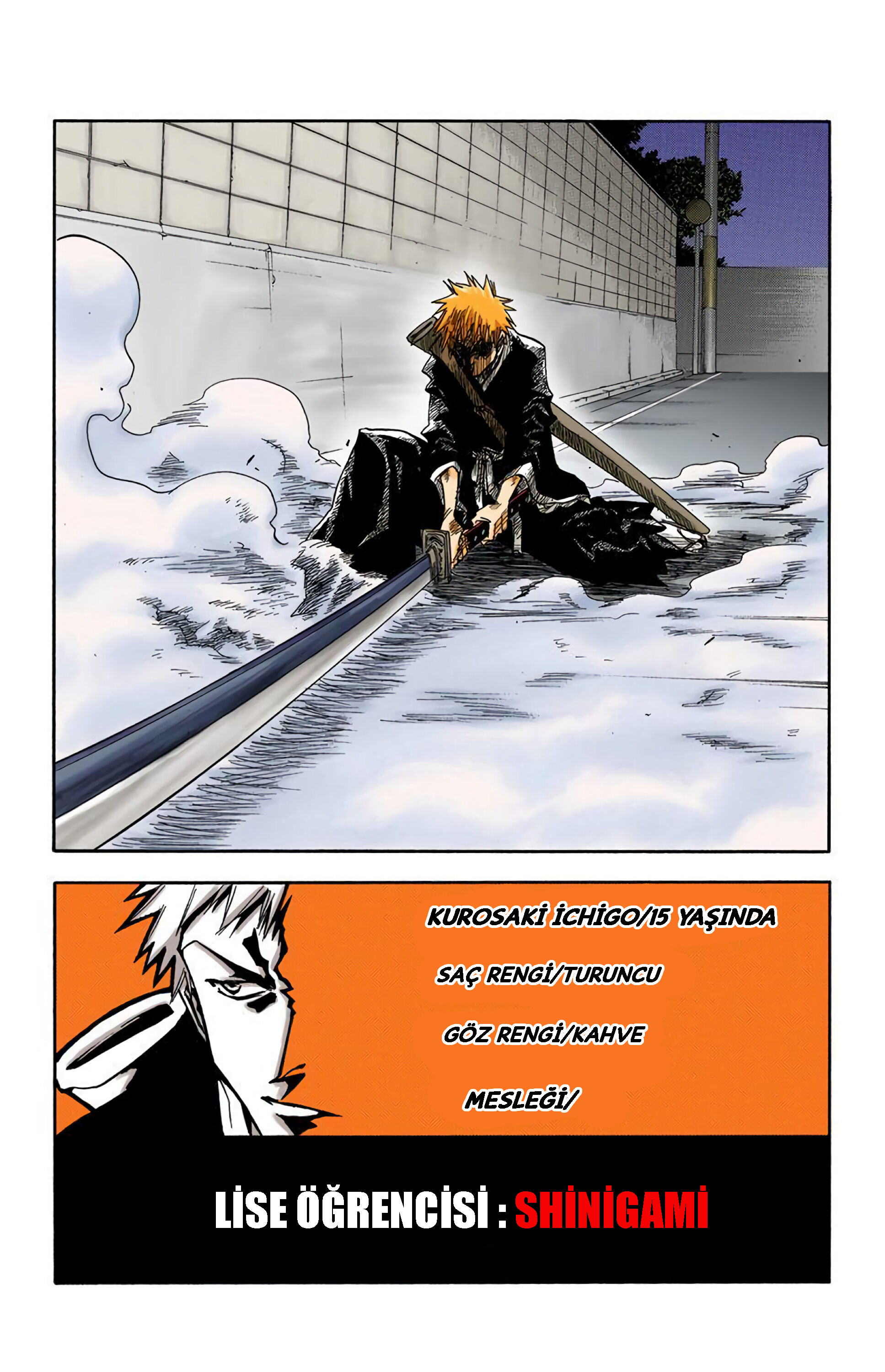 Bleach (Official Colored) Ölüm ve Çilek 第56页