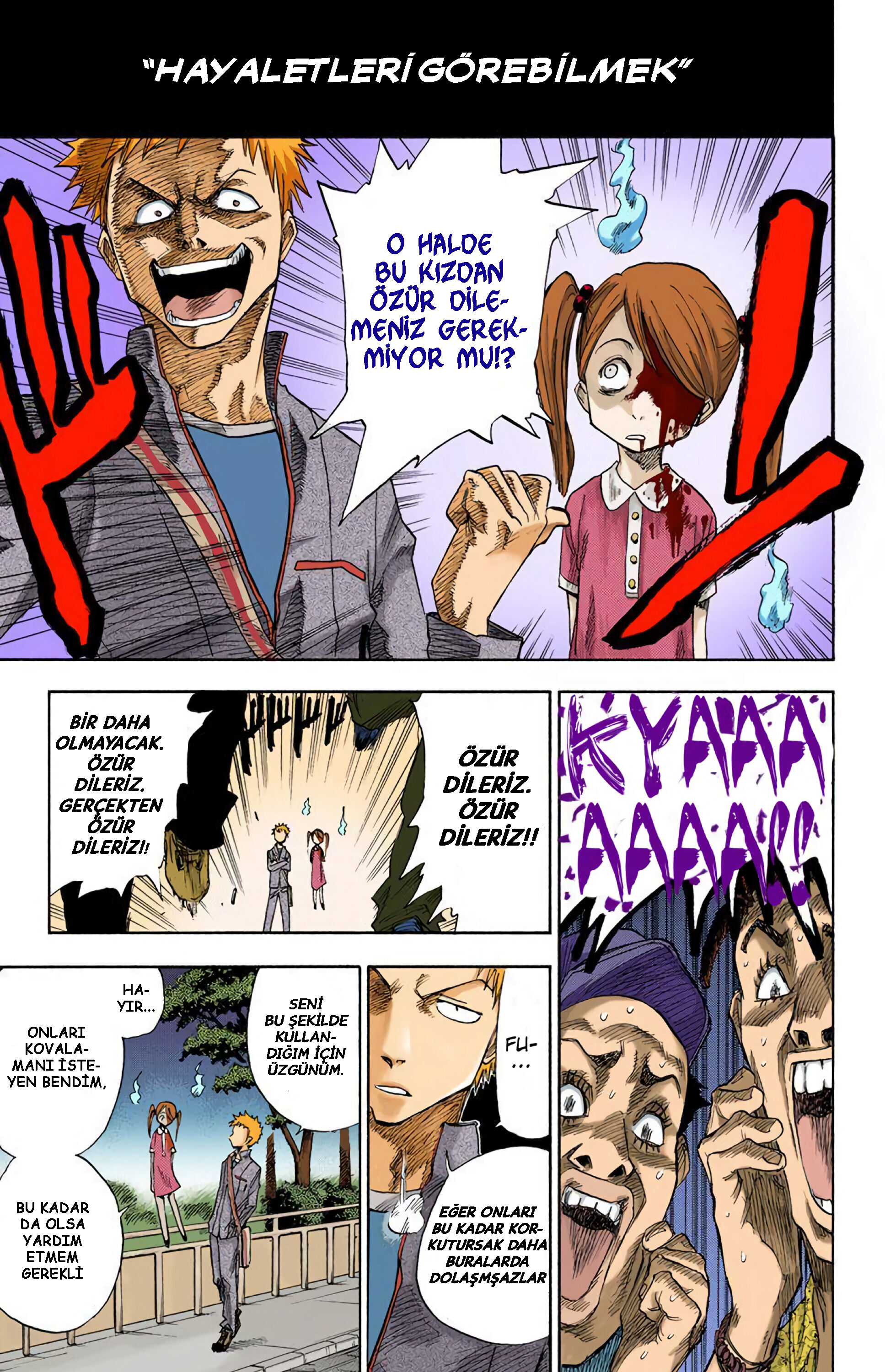 Bleach (Official Colored) Ölüm ve Çilek 第8页