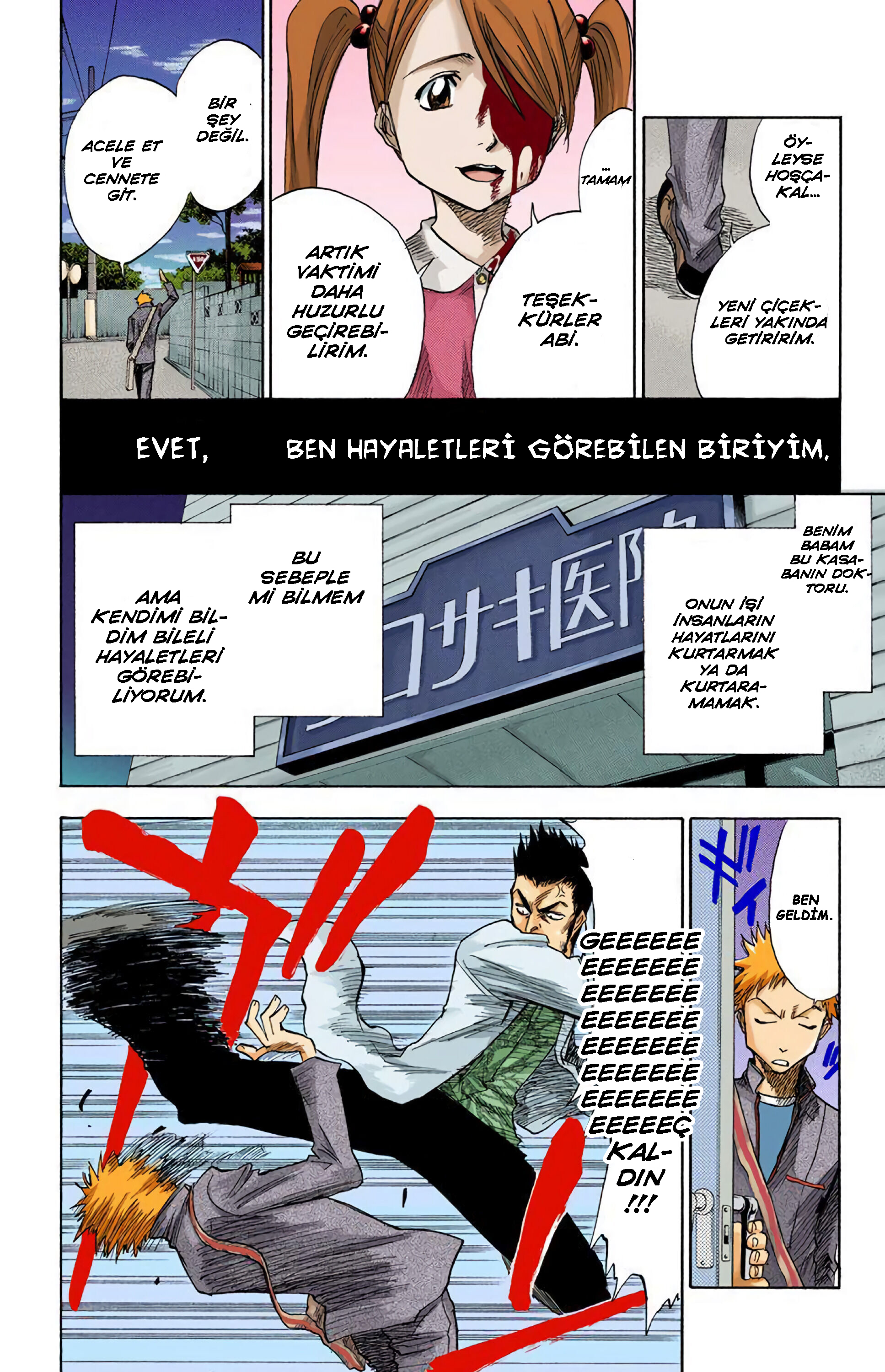 Bleach (Official Colored) Ölüm ve Çilek 第9页