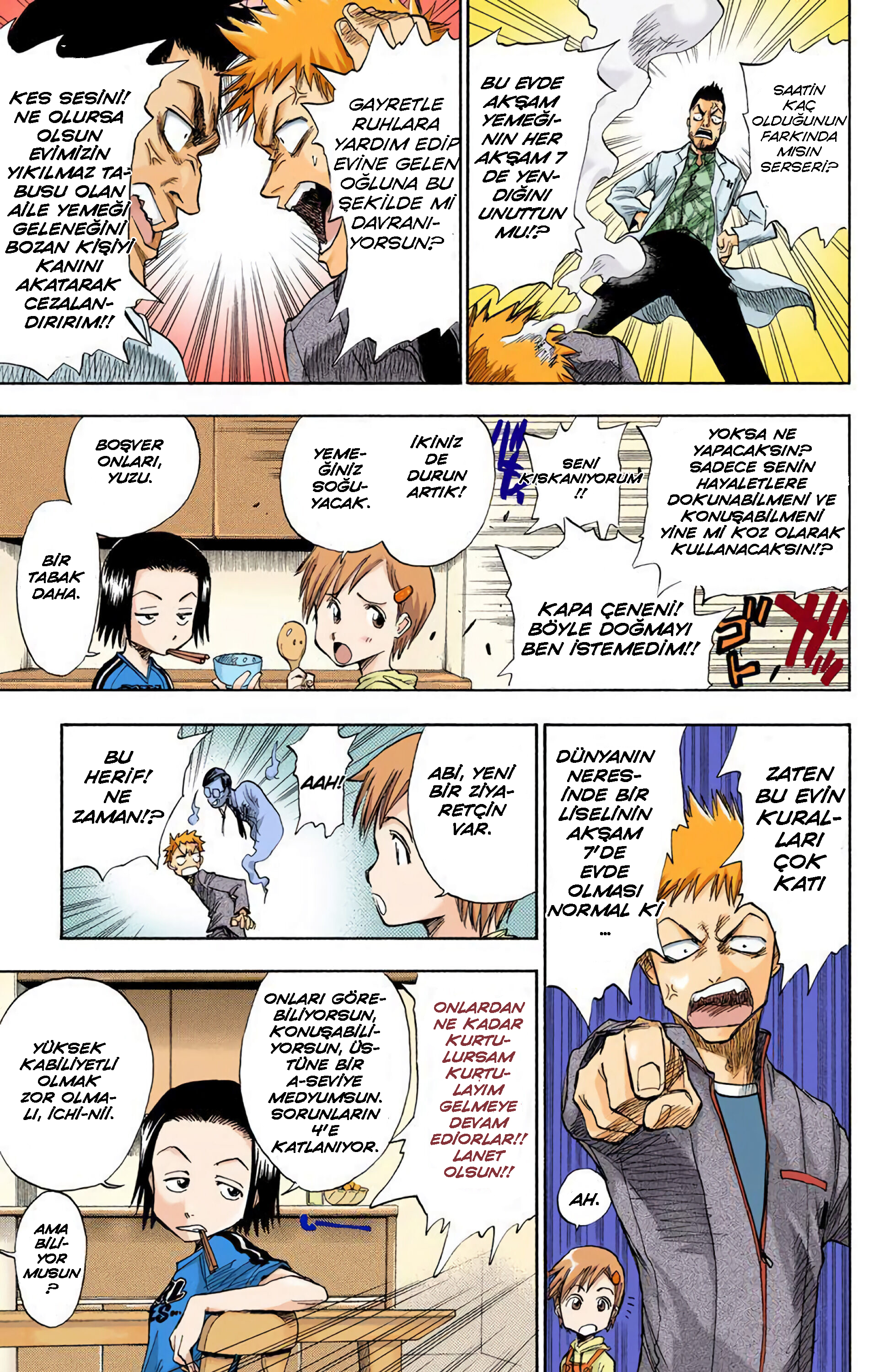 Bleach (Official Colored) Ölüm ve Çilek 第10页