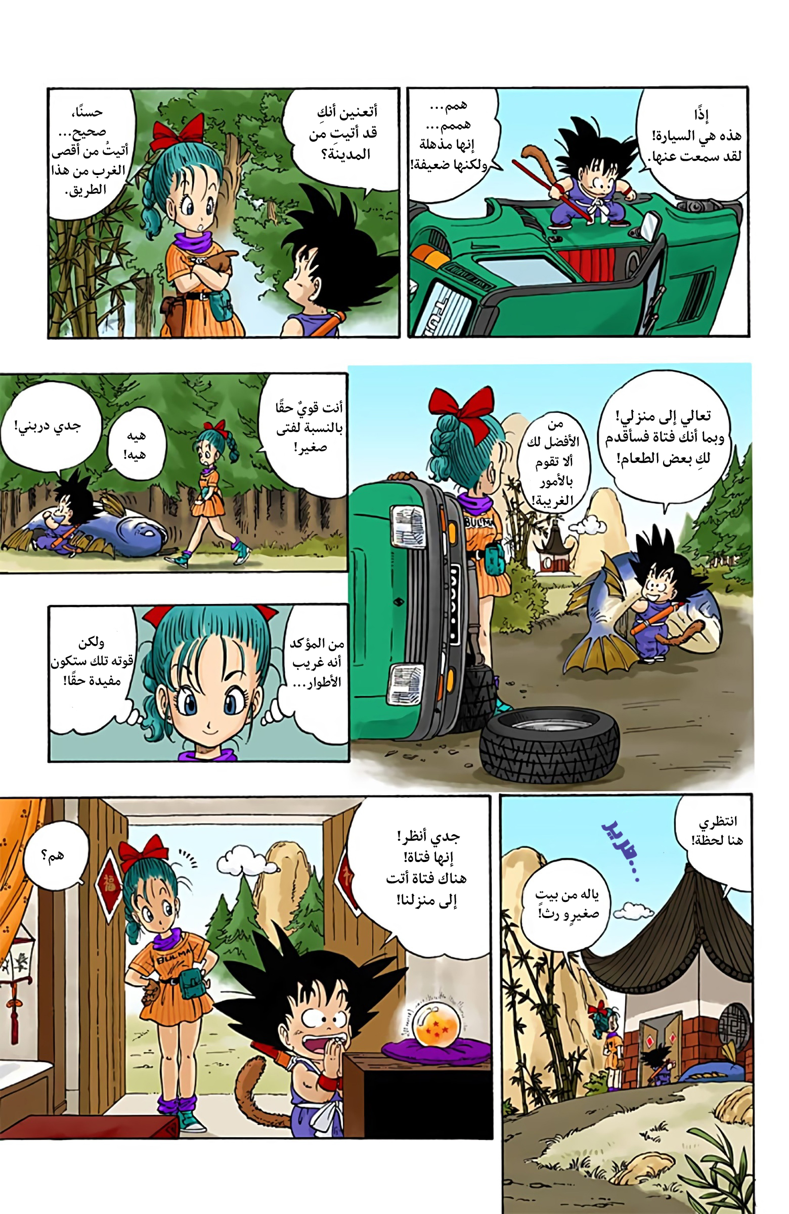Dragon Ball (Official Colored) بولما وسون غوكو 第17页