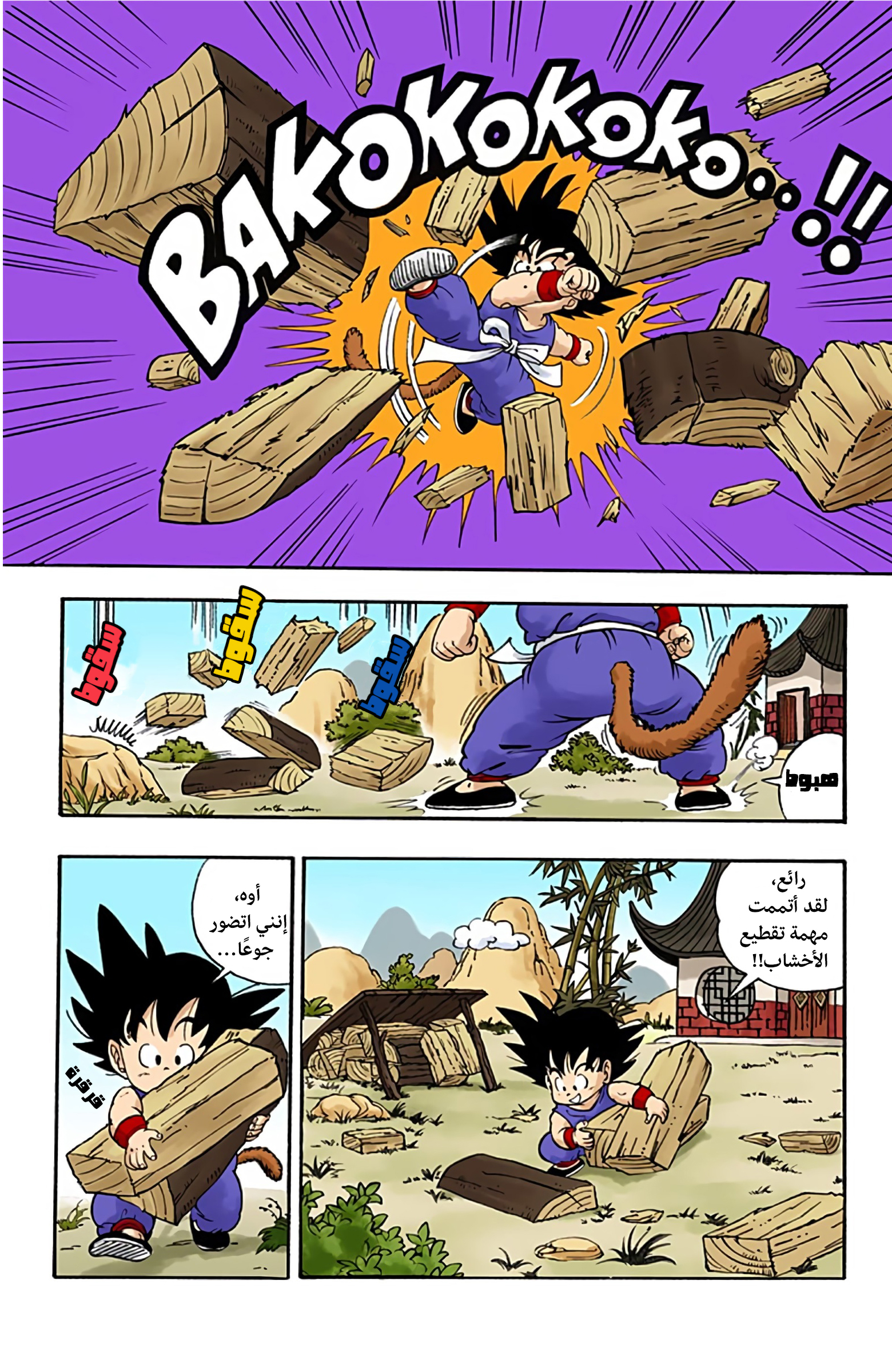 Dragon Ball (Official Colored) بولما وسون غوكو 第6页