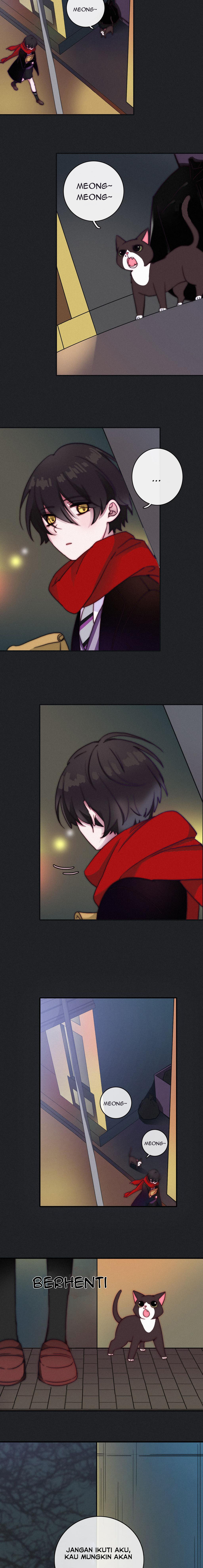 Fall in the Night with You Penyihir Yue Yin 第9页
