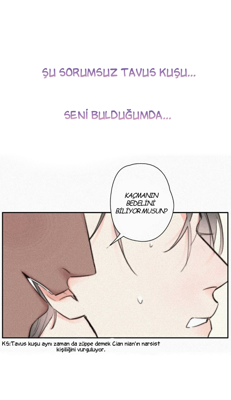 Counterattack Through Pregnancy Prolog 第13页