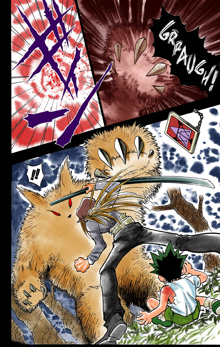 Hunter x Hunter (Official Colored) El Comienzo del Viaje 第17页