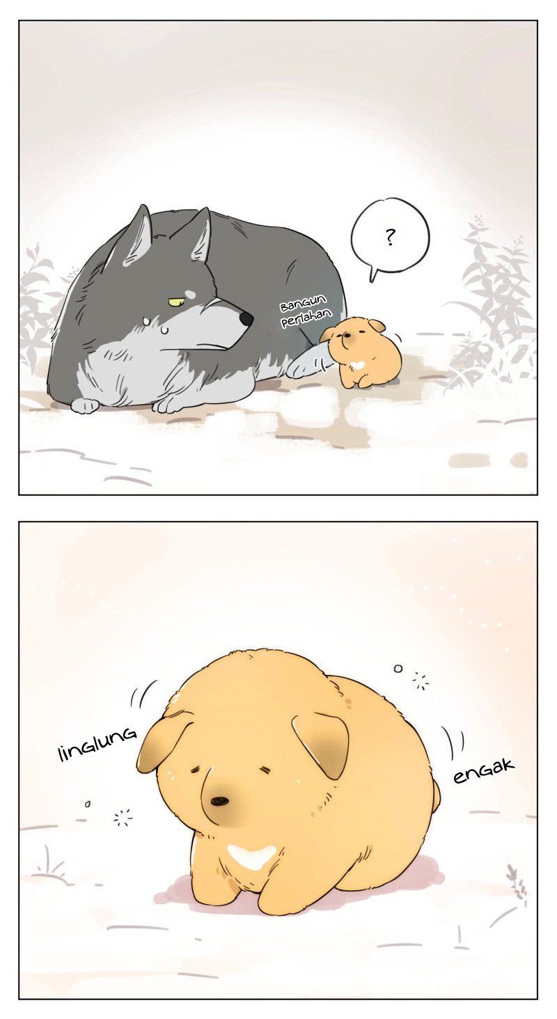 The Wolf That Picked Something Up 第6页