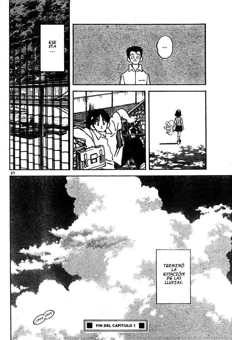 Katsu! No se siente extraño 第37页