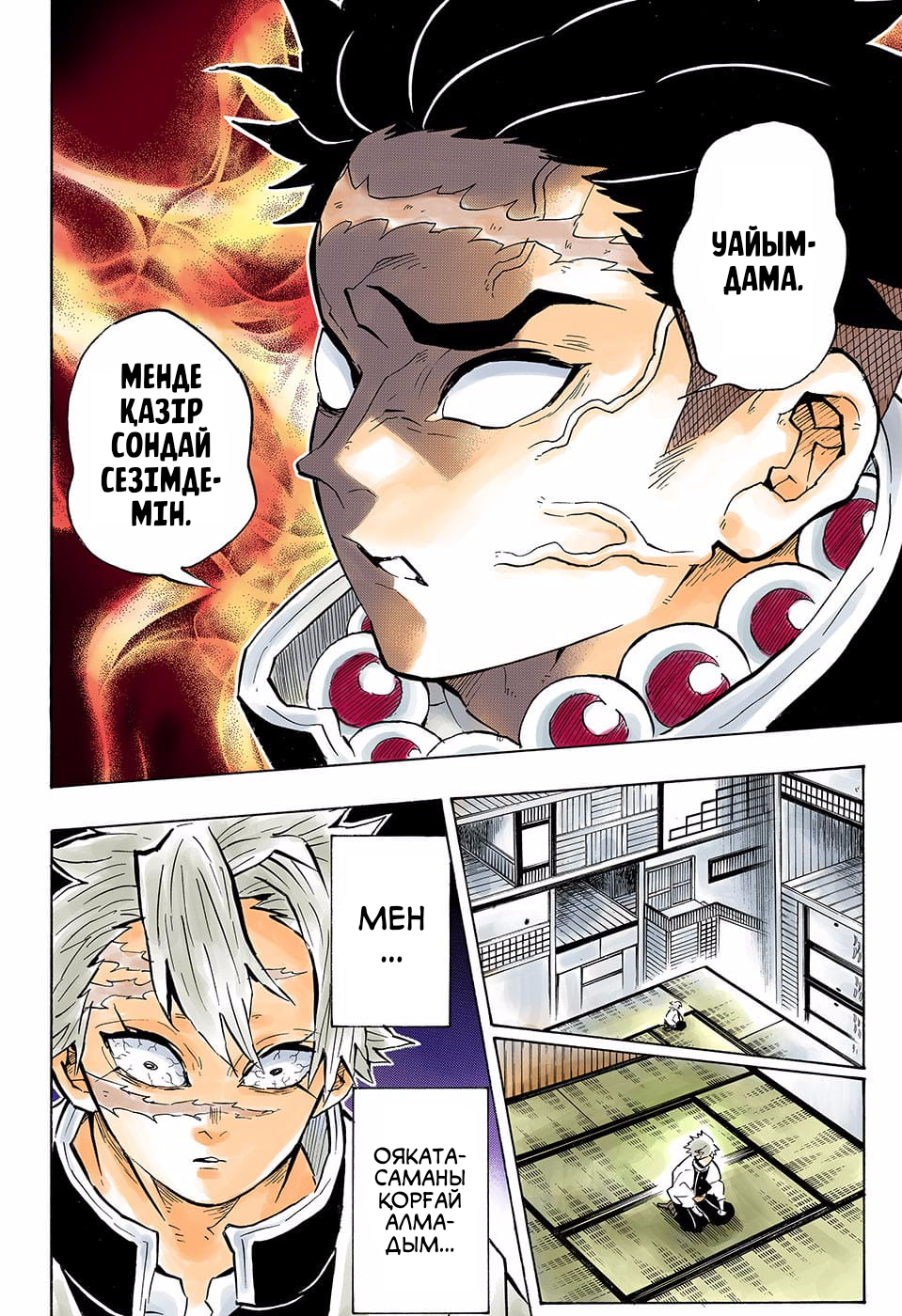 Demon Slayer: Kimetsu no Yaiba (Official Colored) Шешуші шайқастың басы 第14页