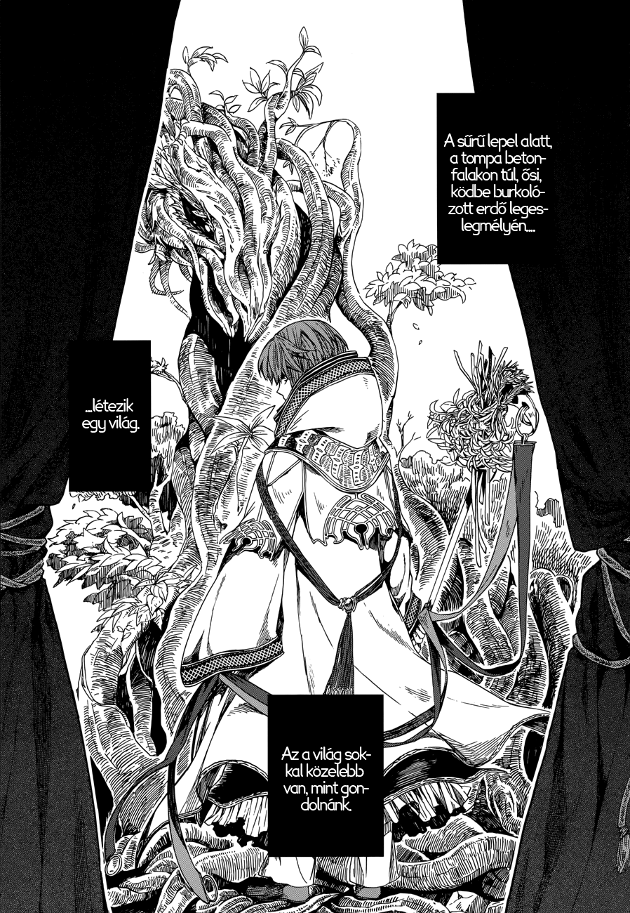 The Ancient Magus' Bride A májusi eső aranyat ér 第10页
