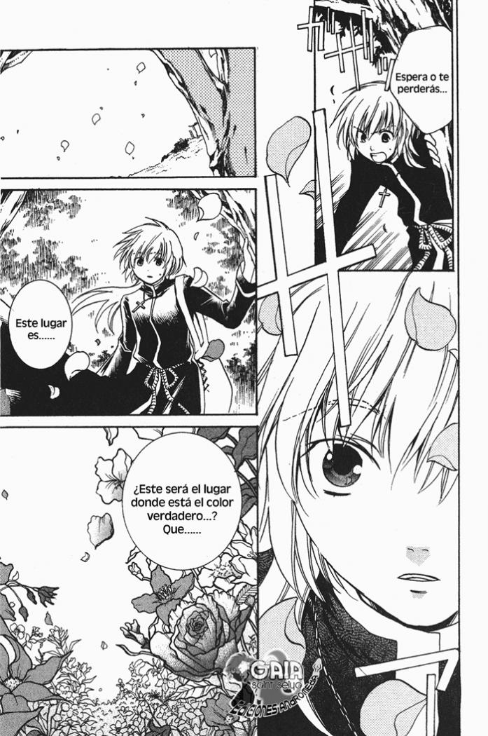 Setoshi Seya - The Lost Canvas - Meiou Shinwa Los Dias Perdidos 第34页