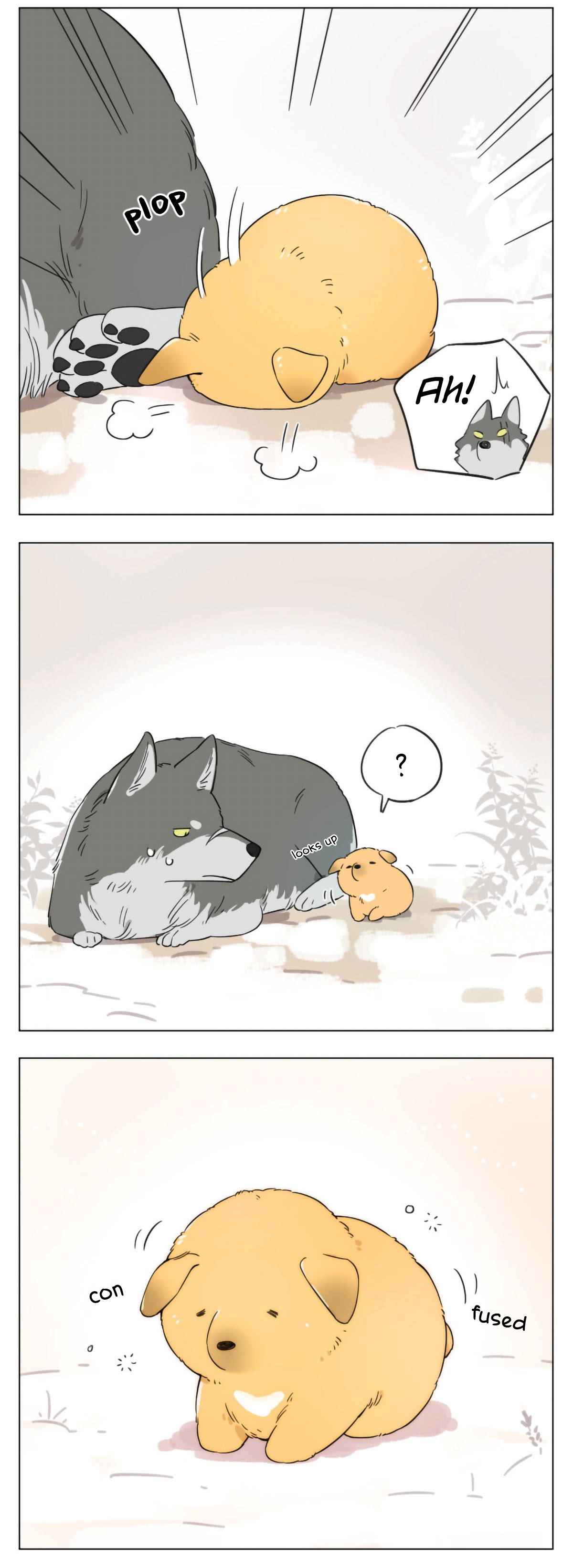 The Wolf That Picked Something Up The Alpha Wolf Picked Up a Puppy 第3页