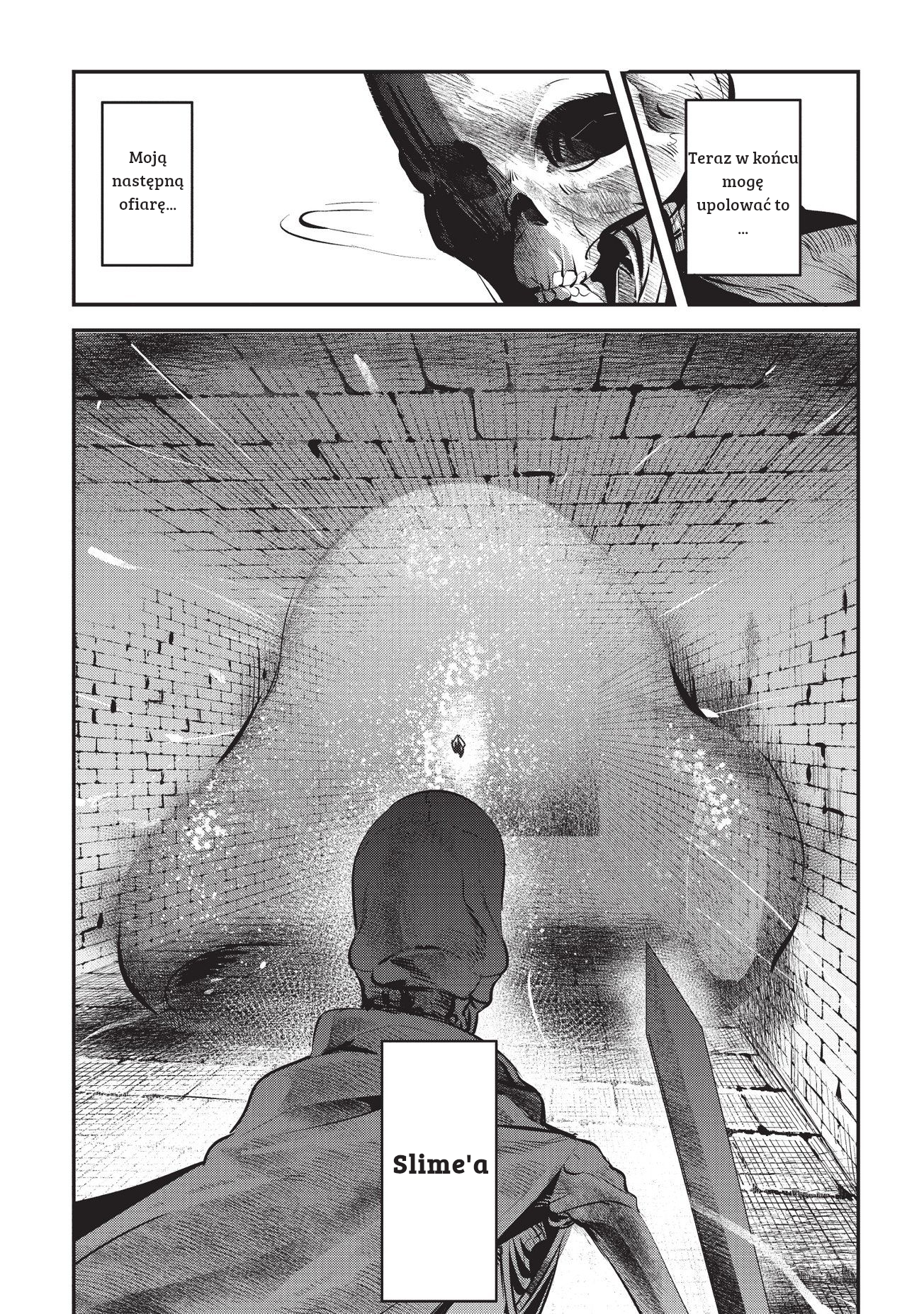 Nozomanu Fushi no Boukensha The 3 Energies 第11页