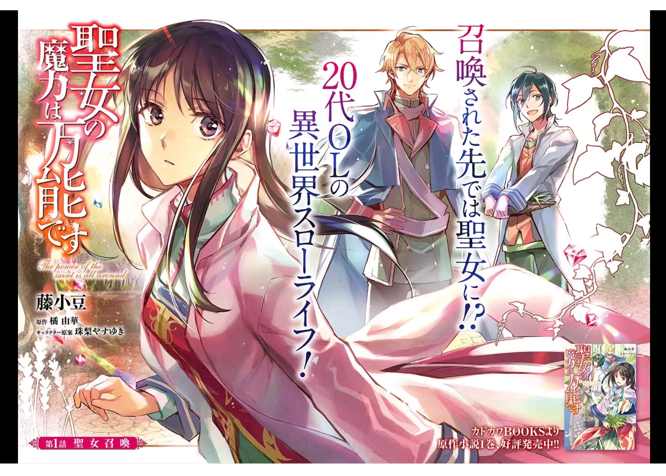 Seijo no Maryoku wa Bannou desu 第2页